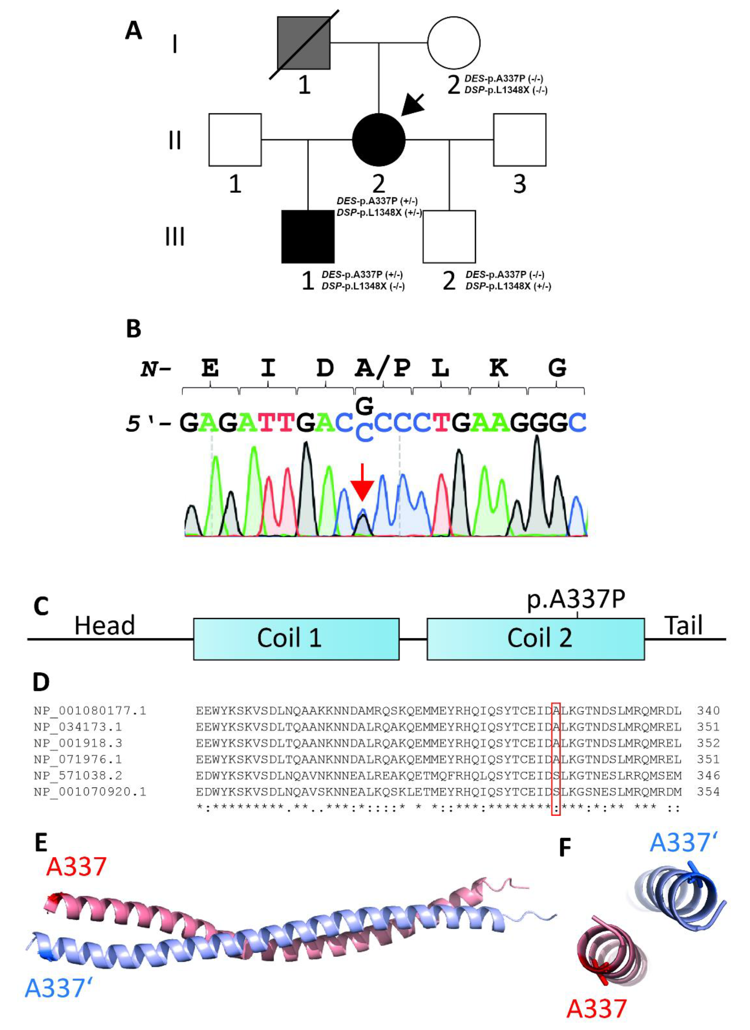 Genes 12 00121 g001 Genes 12 00121 g001