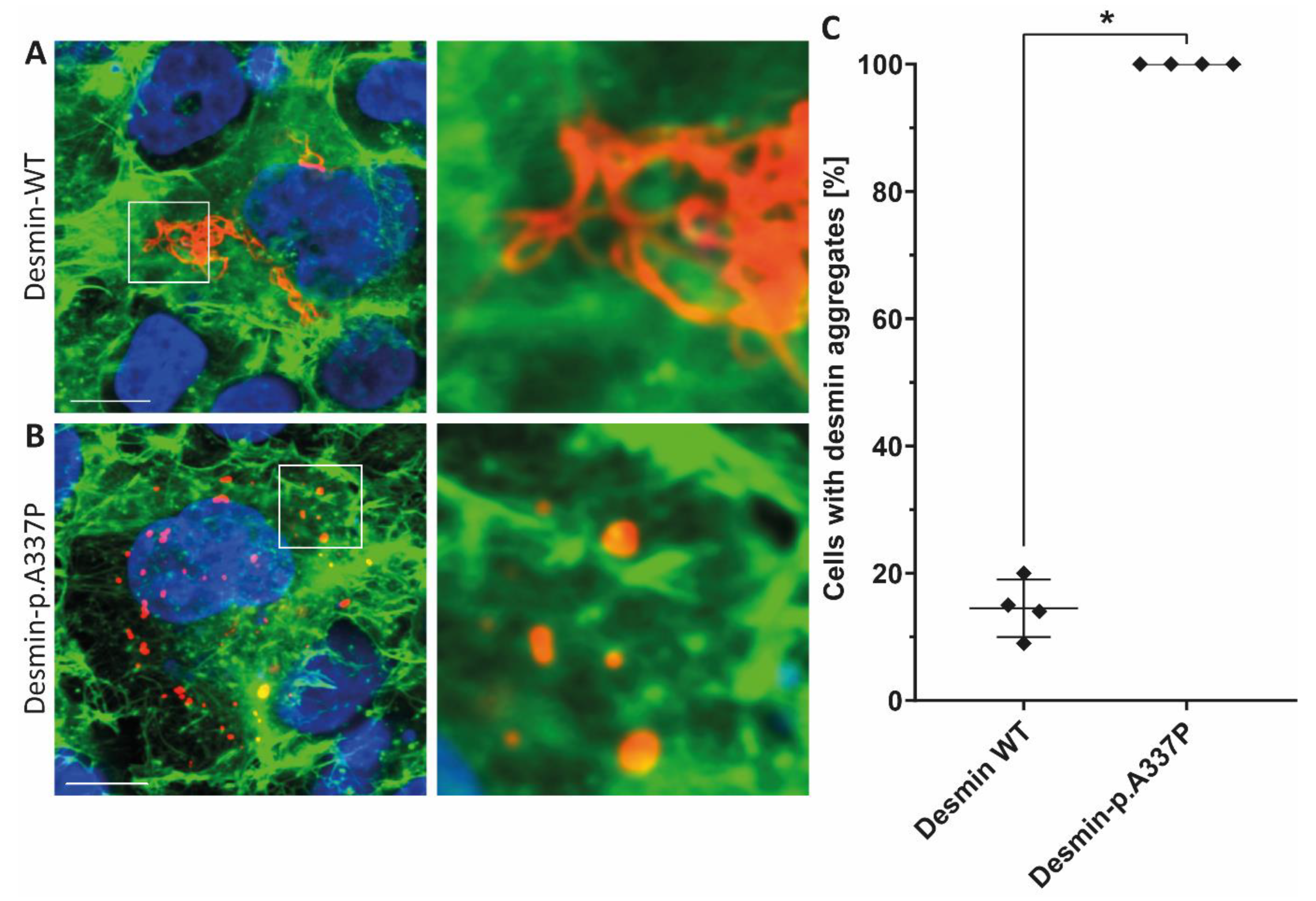 Genes 12 00121 g003 Genes 12 00121 g003