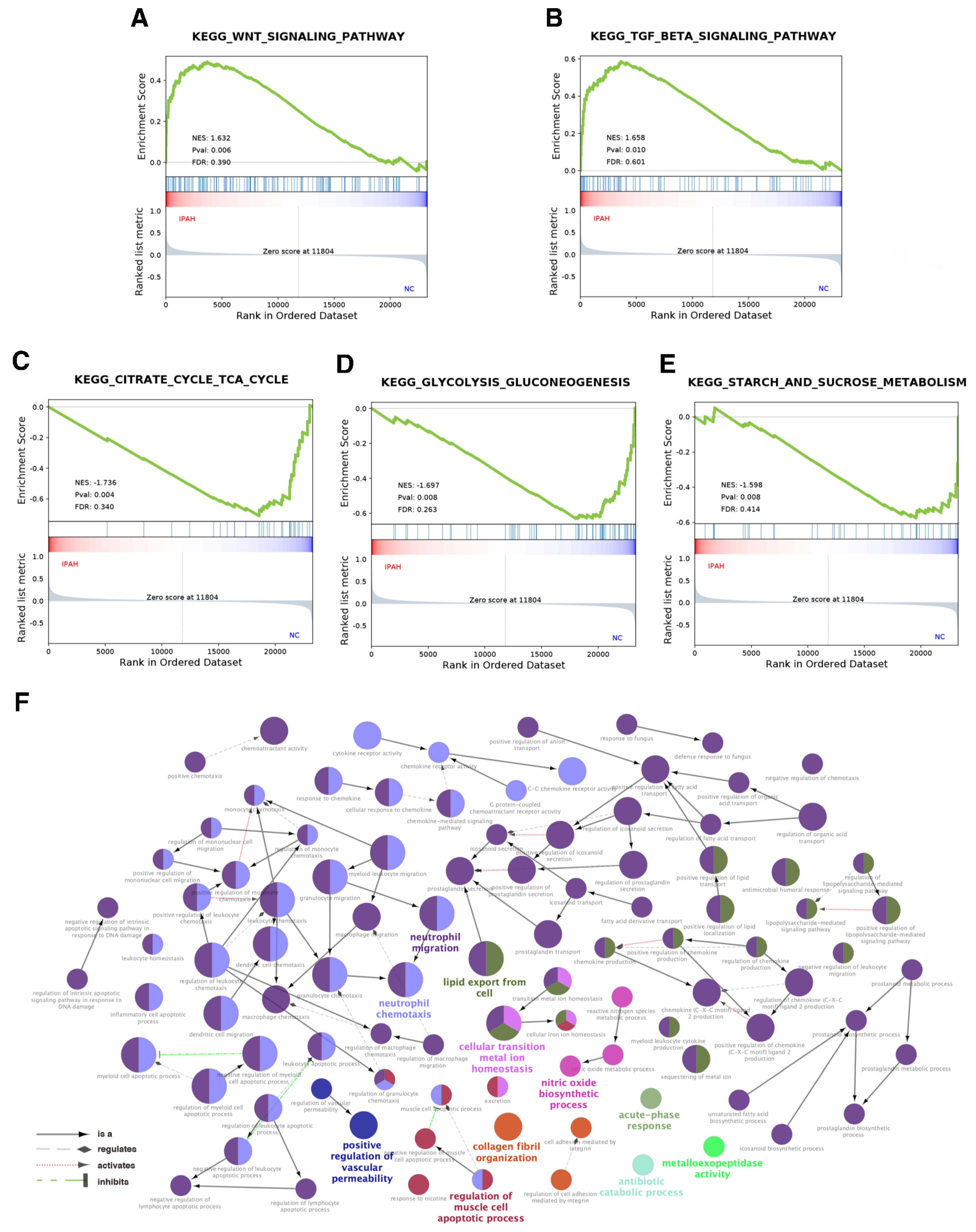 Genes 12 00125 g002