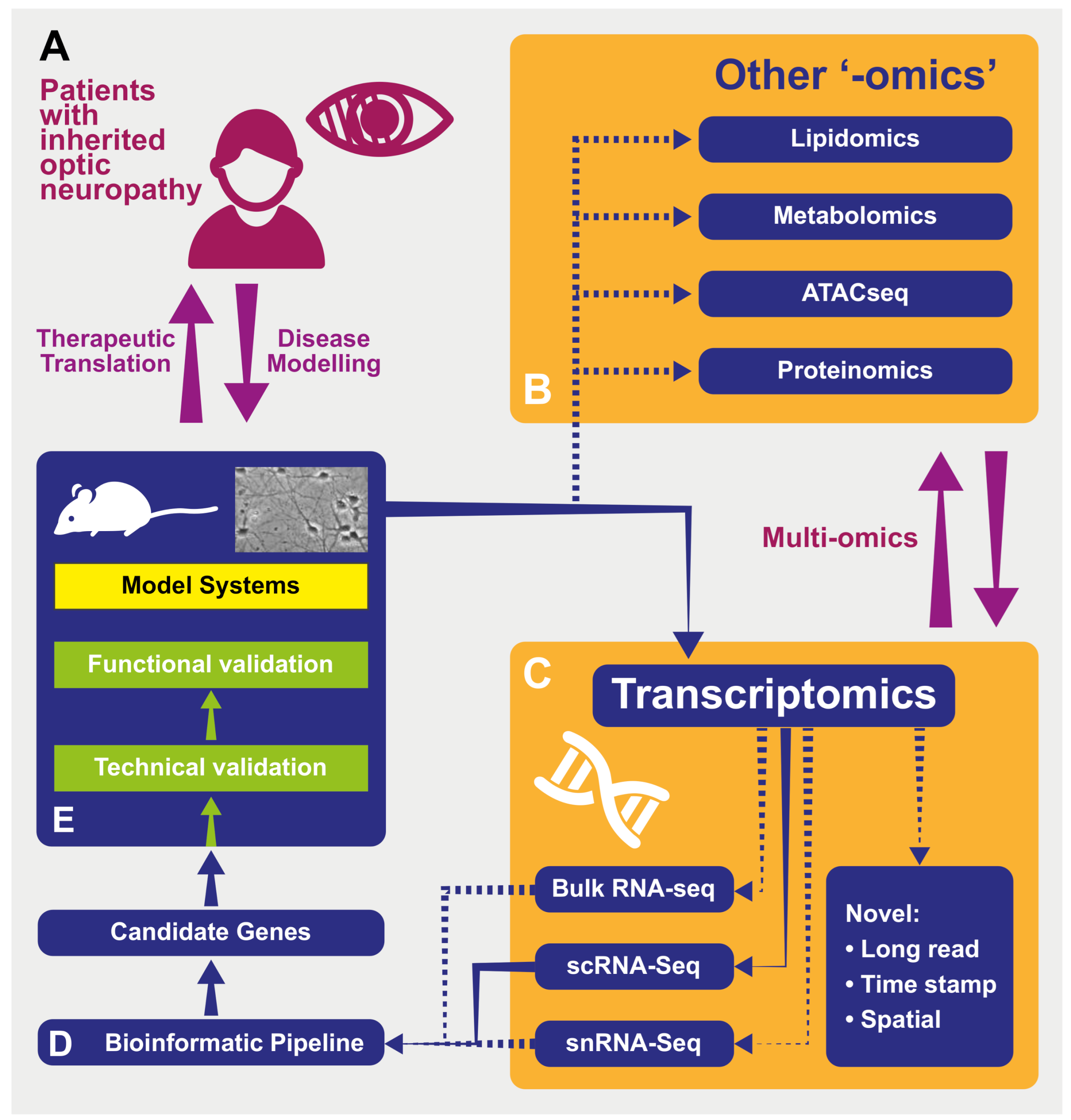 Genes 12 00147 g001 Genes 12 00147 g001