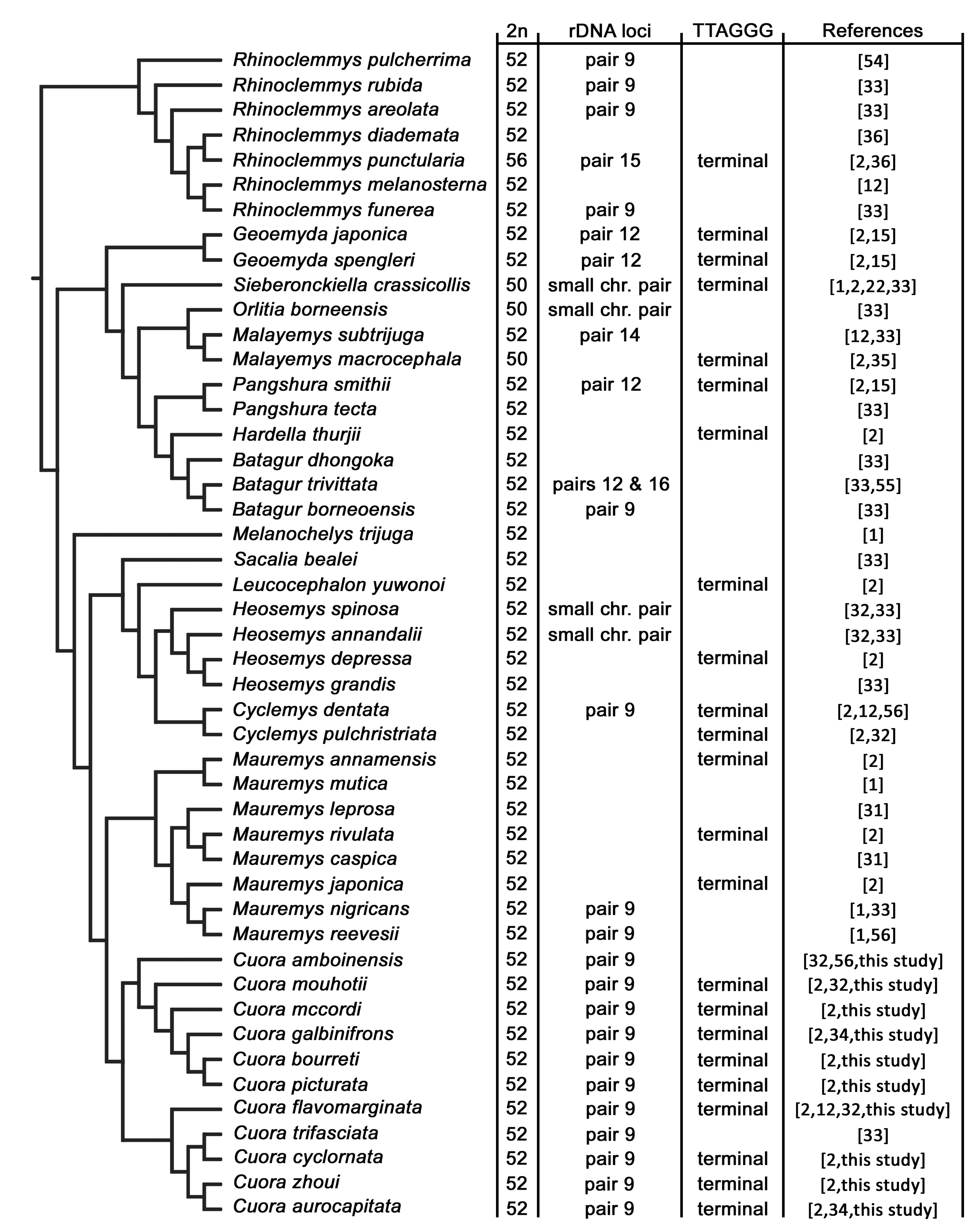 Genes 12 00156 g005 Genes 12 00156 g005