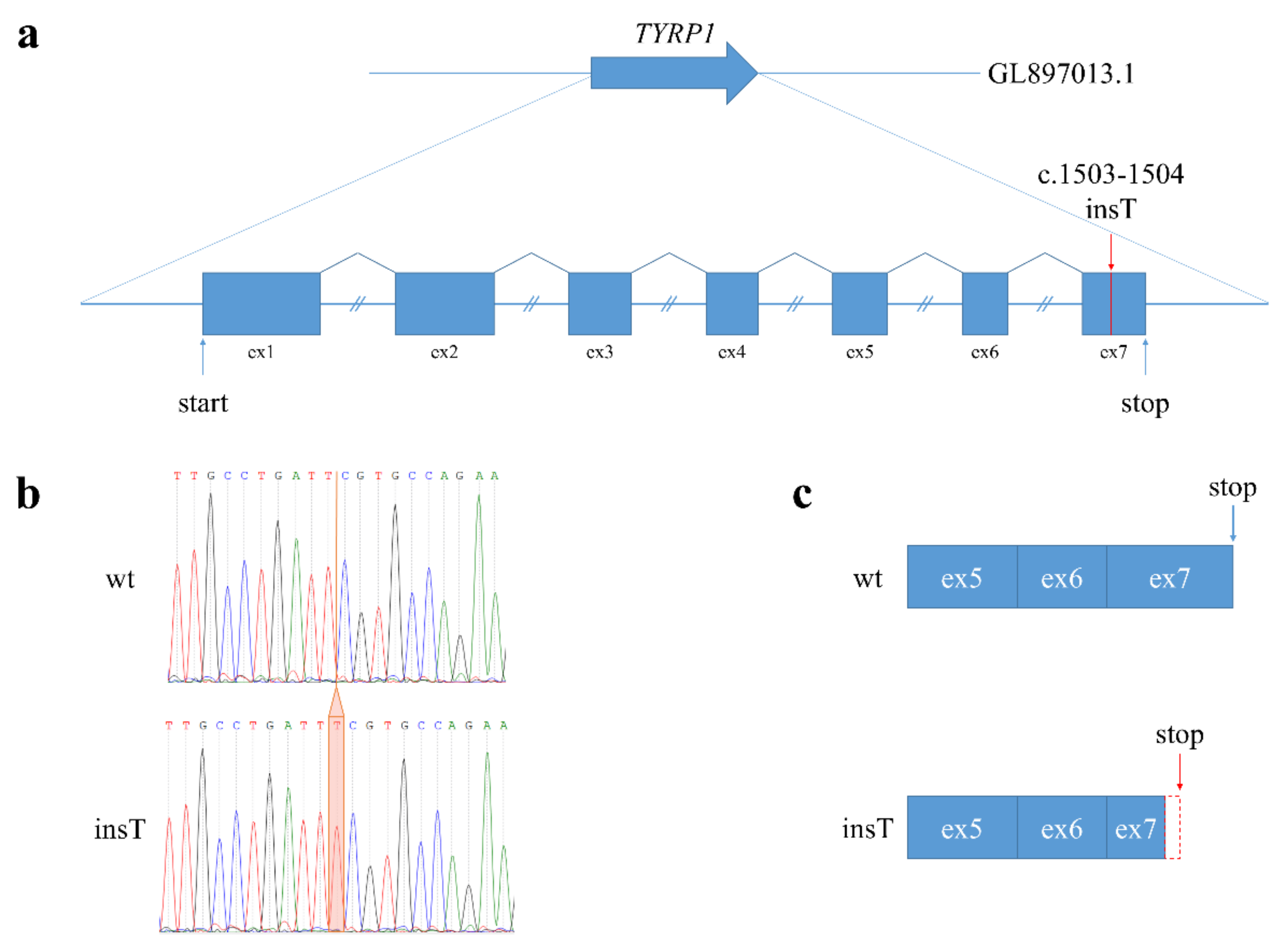 Genes 12 00157 g003 Genes 12 00157 g003