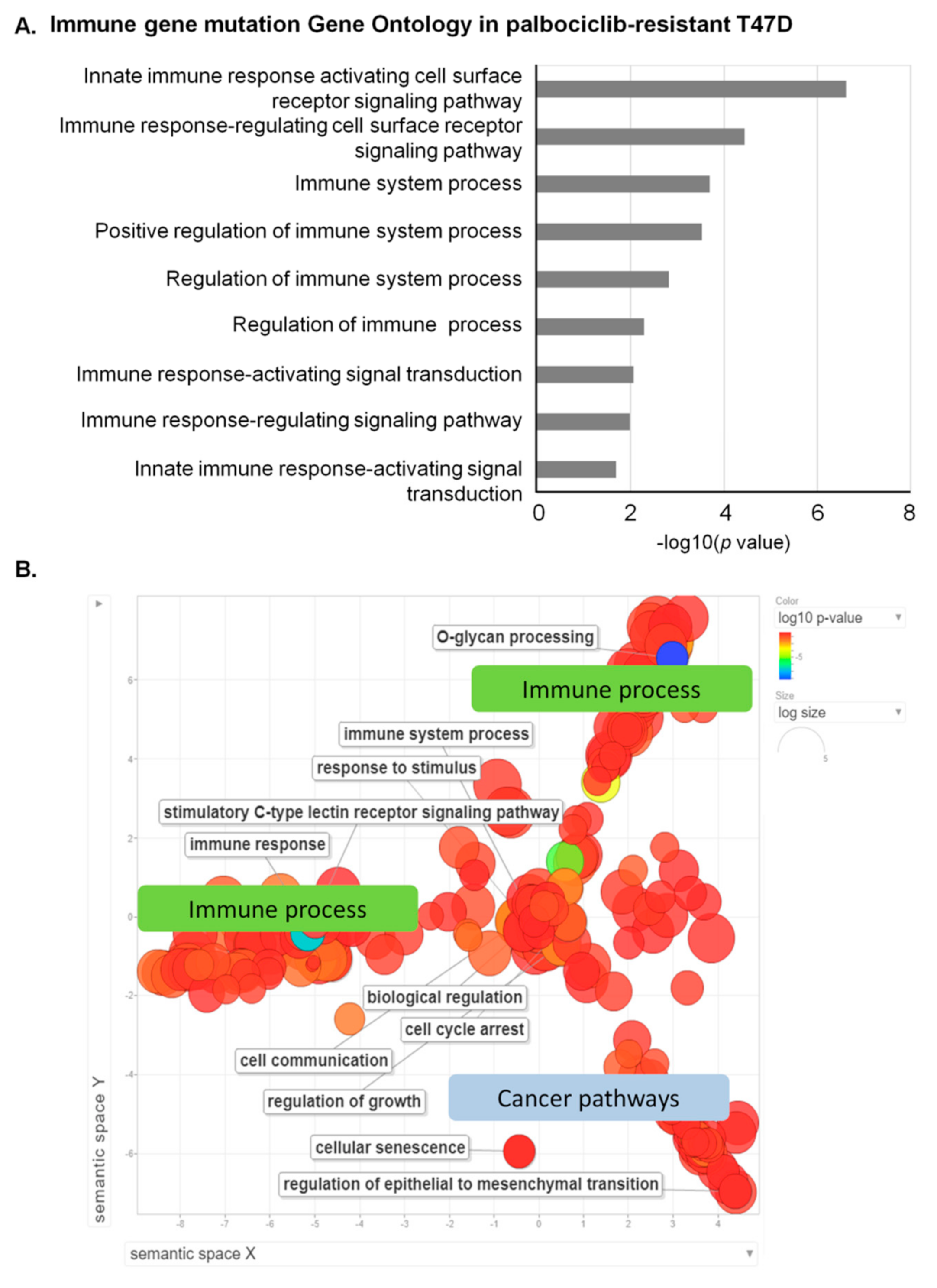 Genes 12 00159 g003 Genes 12 00159 g003