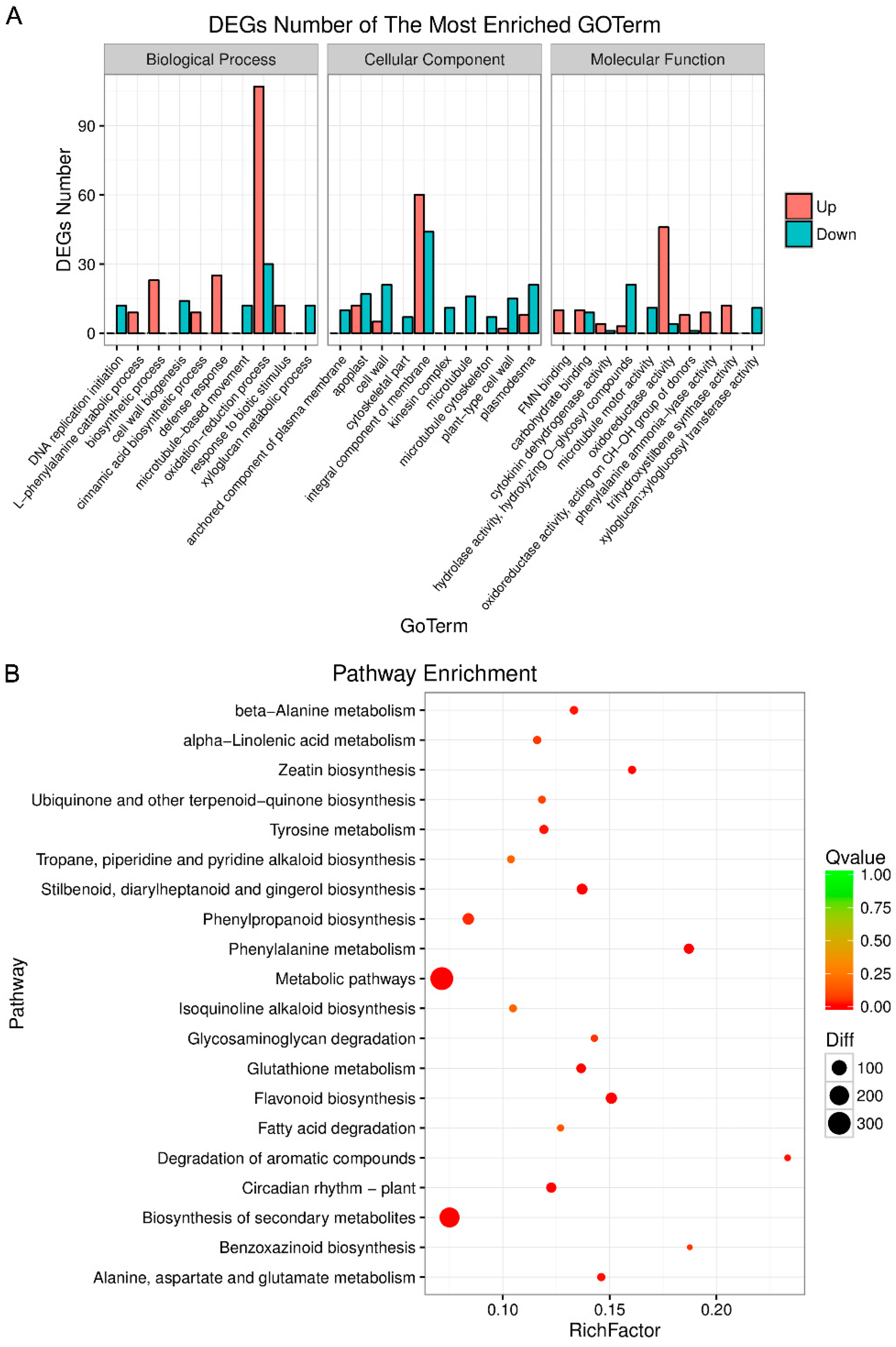 Genes 12 00179 g002 Genes 12 00179 g002