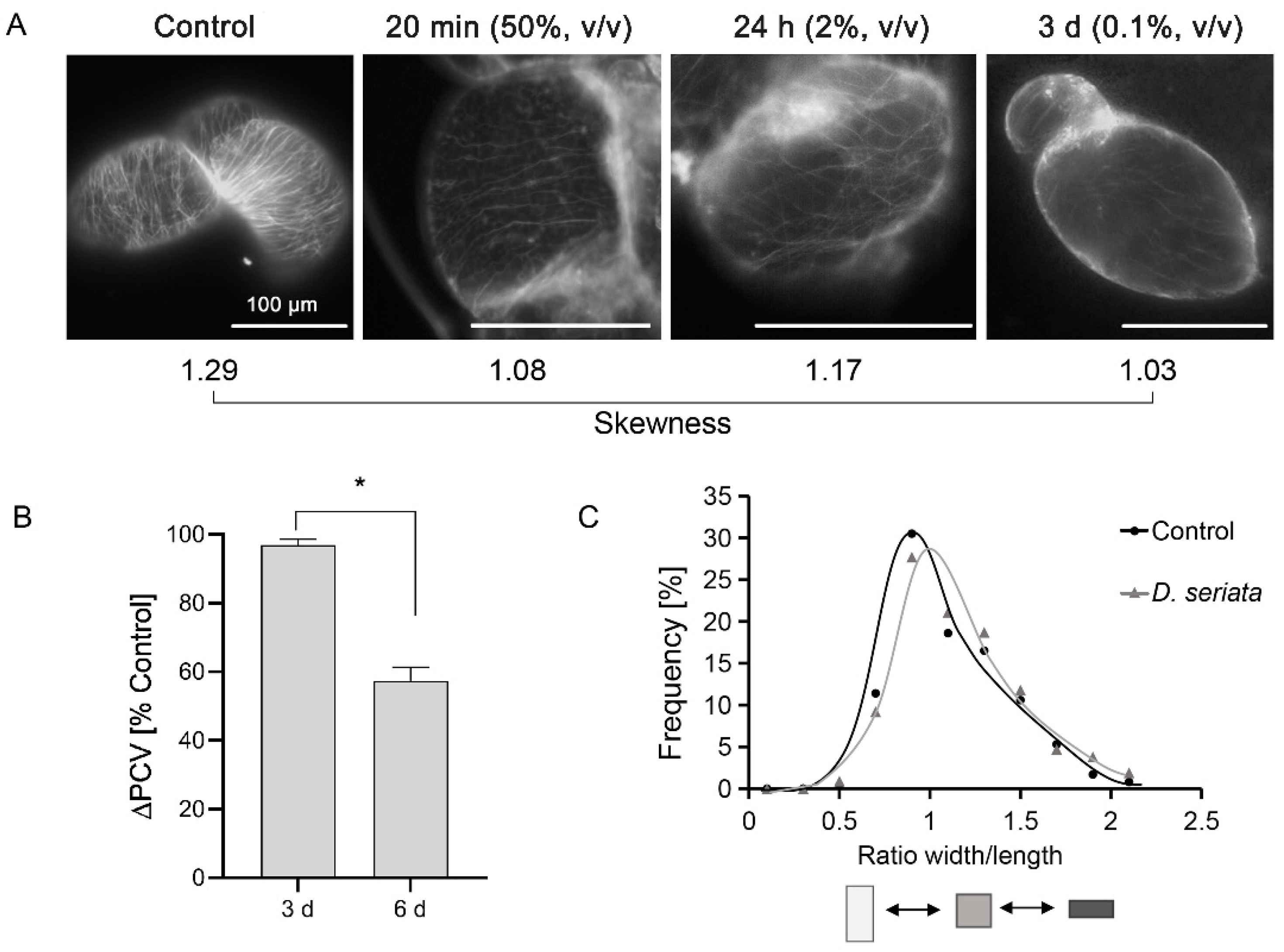 Genes 12 00179 g004 Genes 12 00179 g004