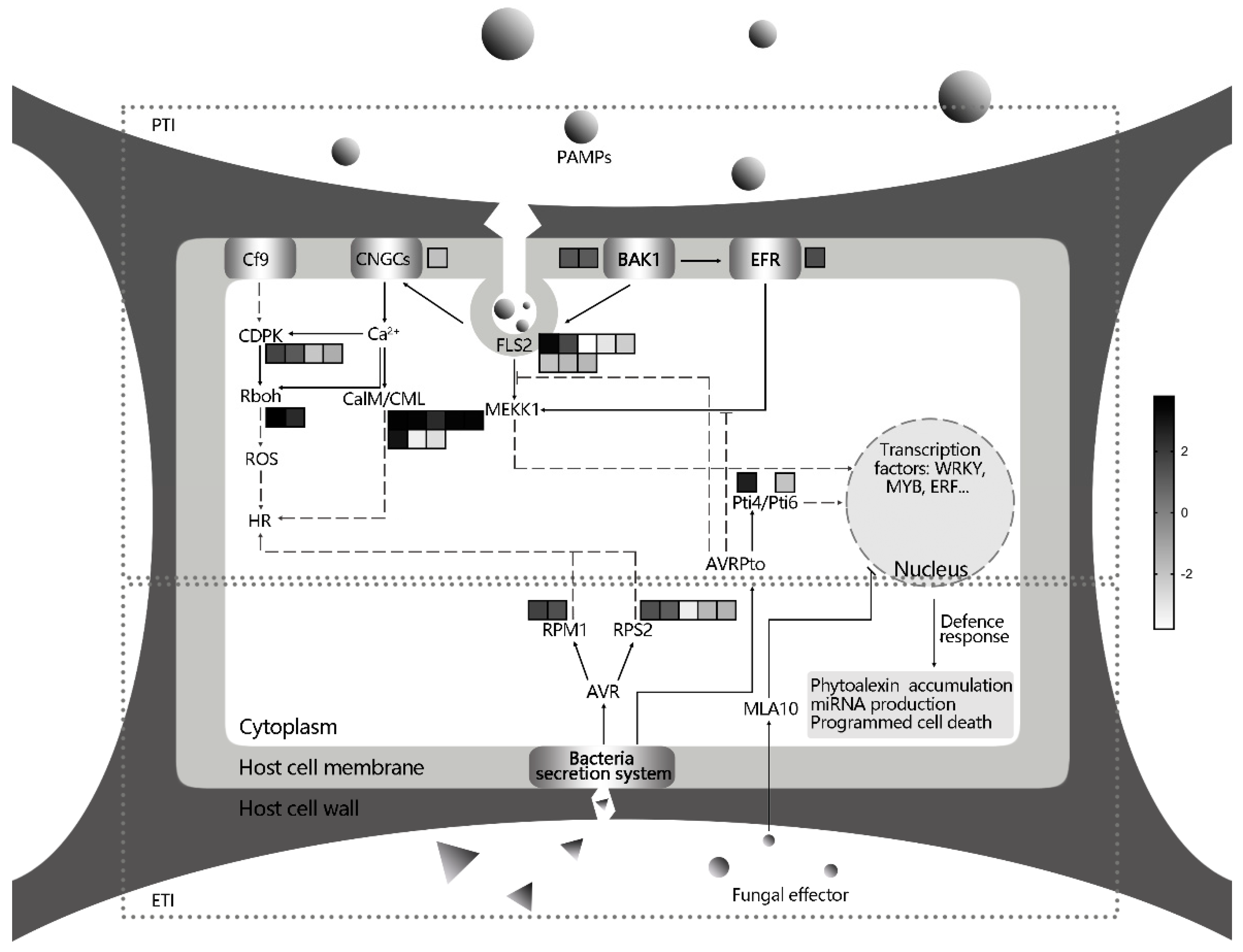 Genes 12 00179 g005 Genes 12 00179 g005