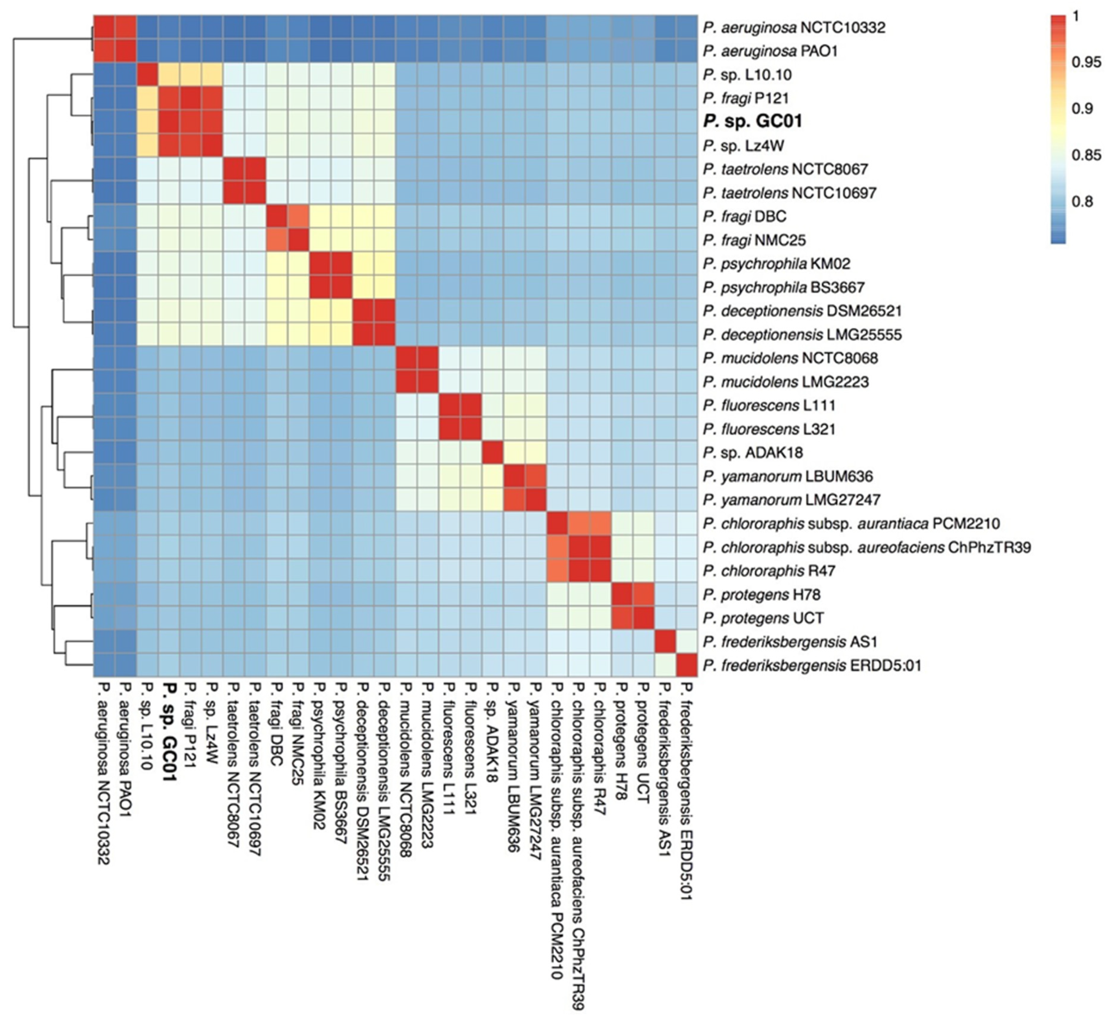Genes 12 00187 g002 Genes 12 00187 g002