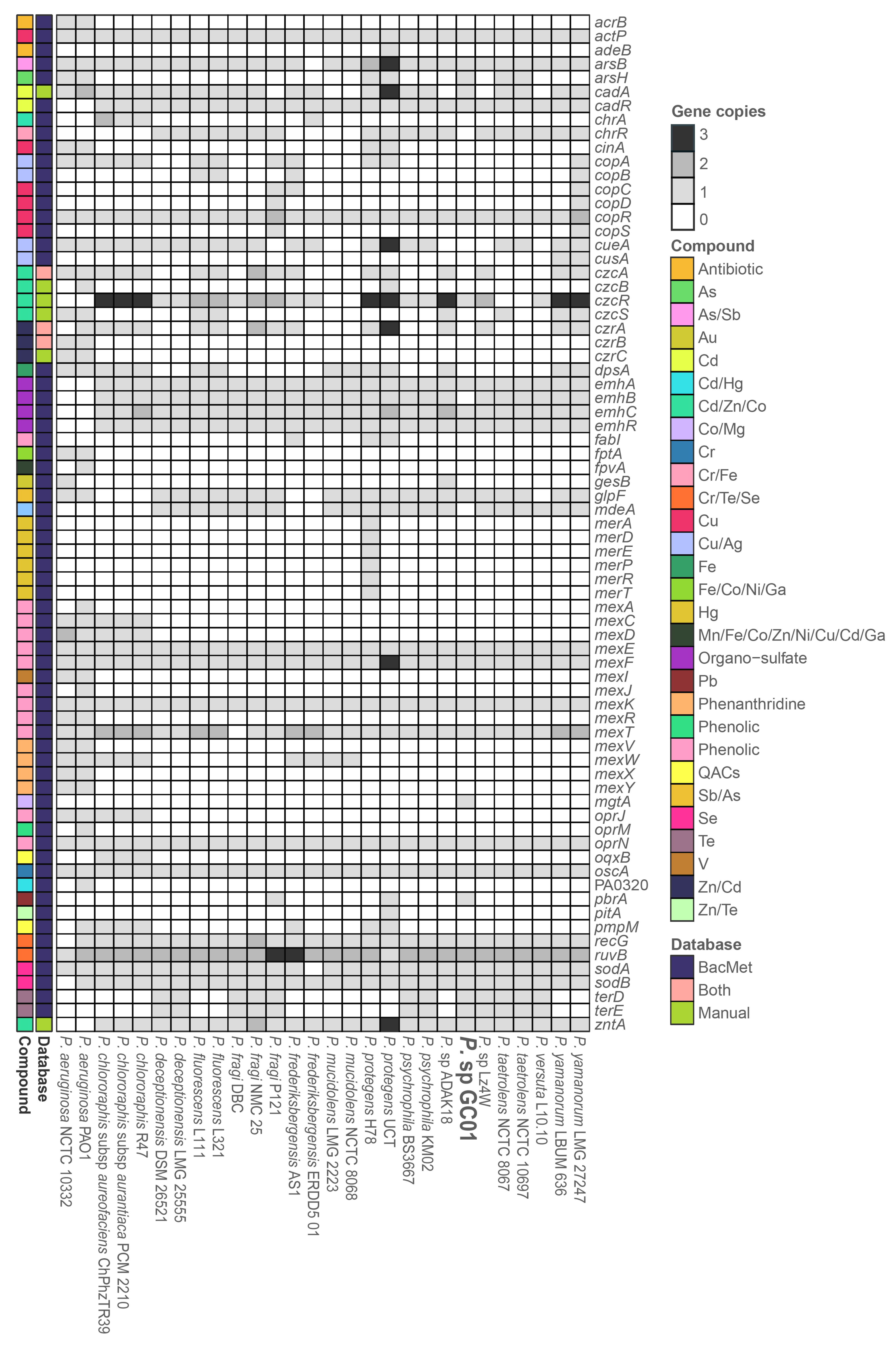 Genes 12 00187 g004 Genes 12 00187 g004