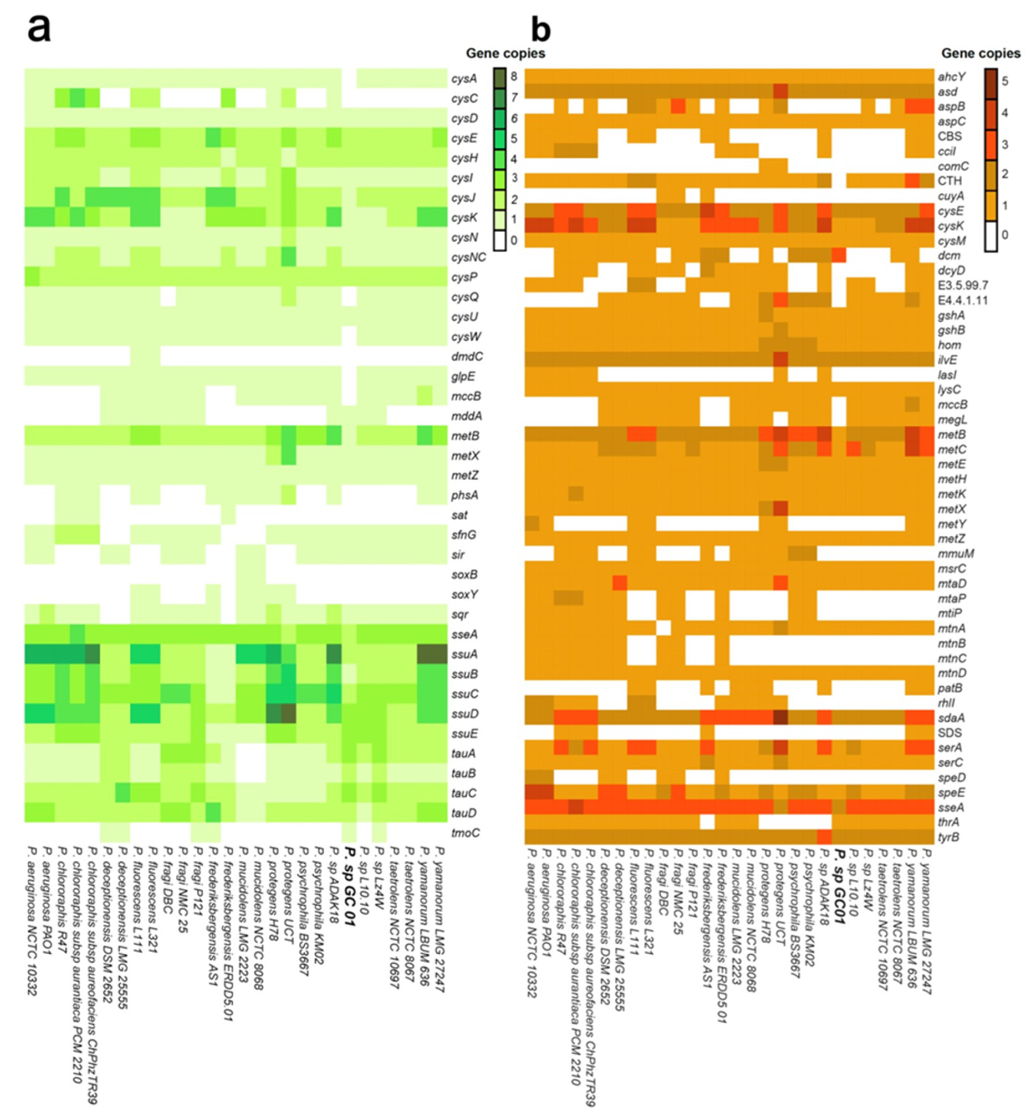 Genes 12 00187 g006 Genes 12 00187 g006