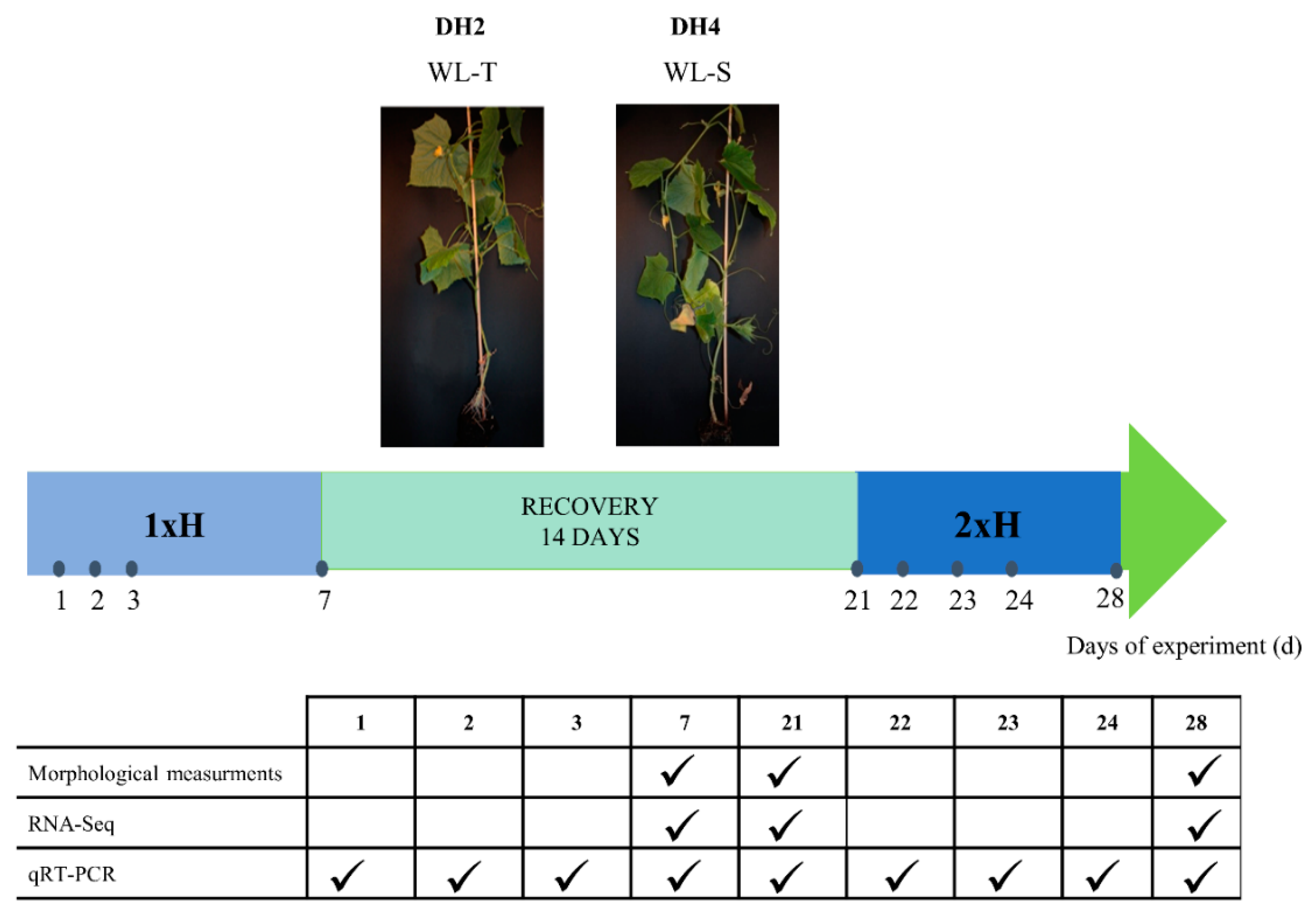 Genes 12 00189 g001 Genes 12 00189 g001