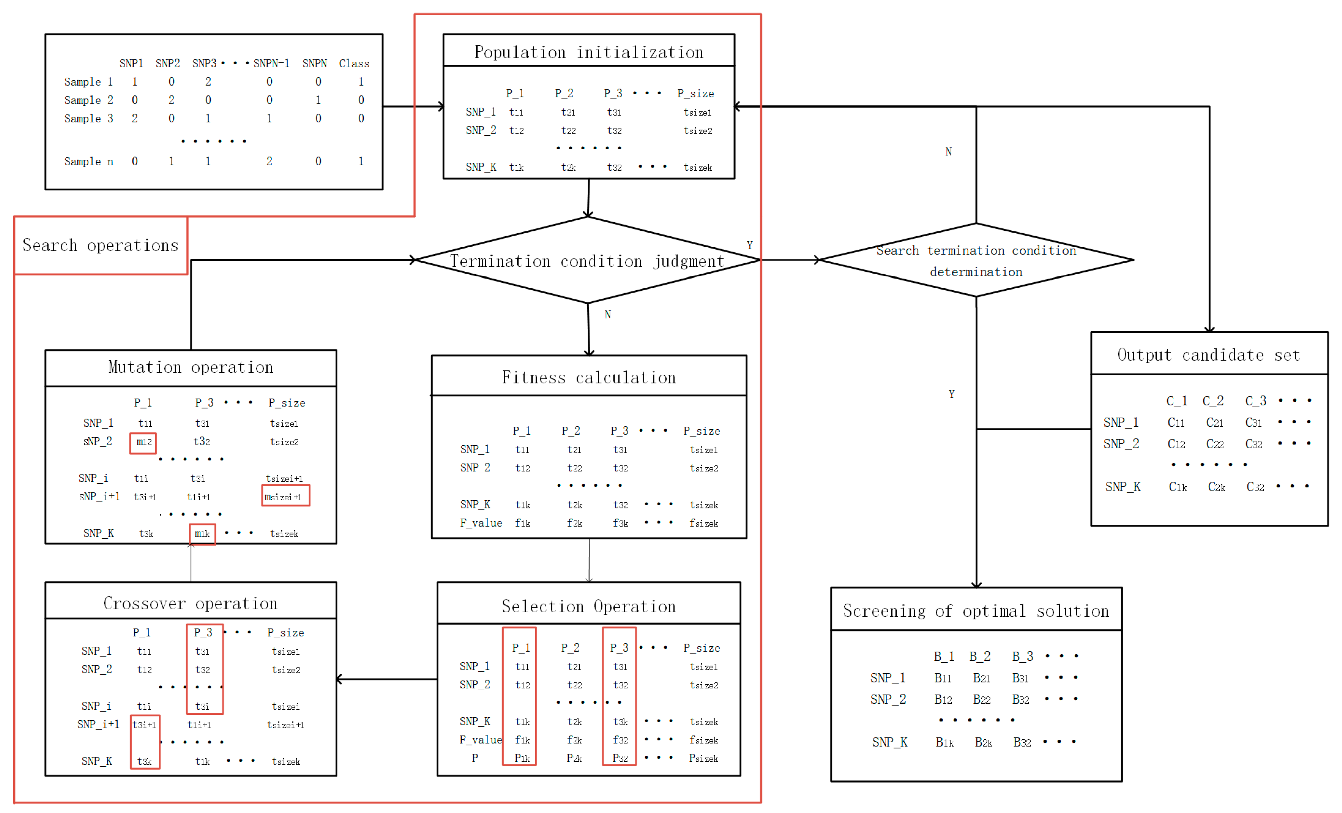 Genes 12 00191 g001