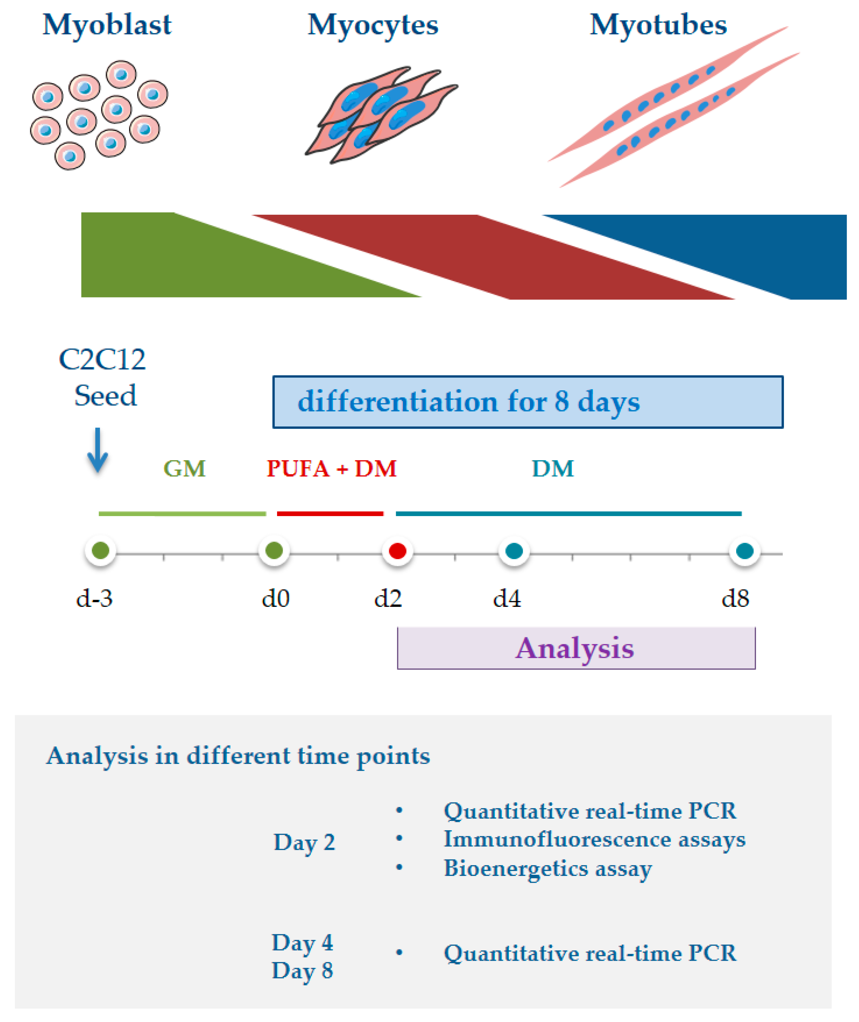Genes 12 00192 g001 Genes 12 00192 g001