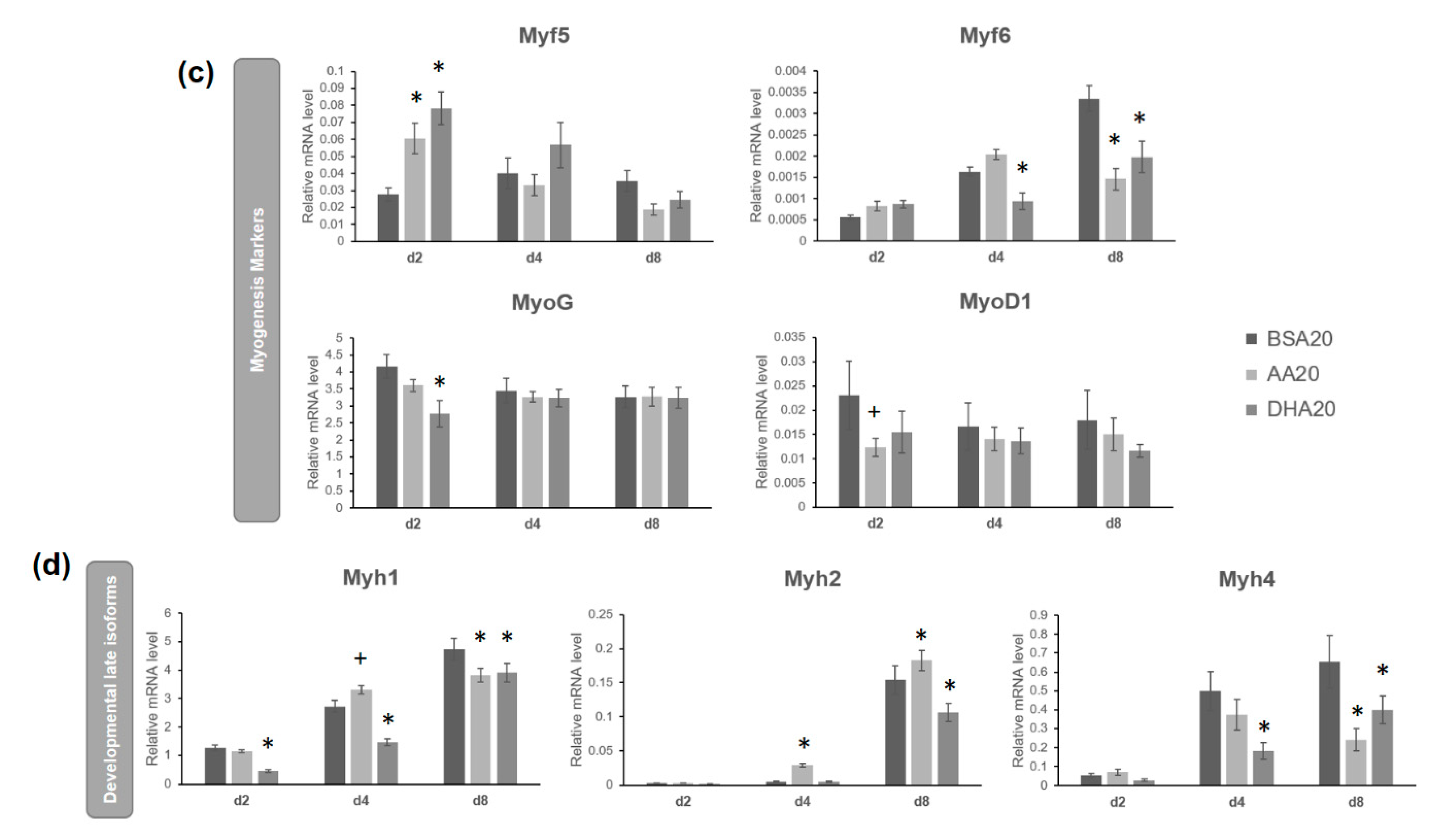 Genes 12 00192 g003b Genes 12 00192 g003b