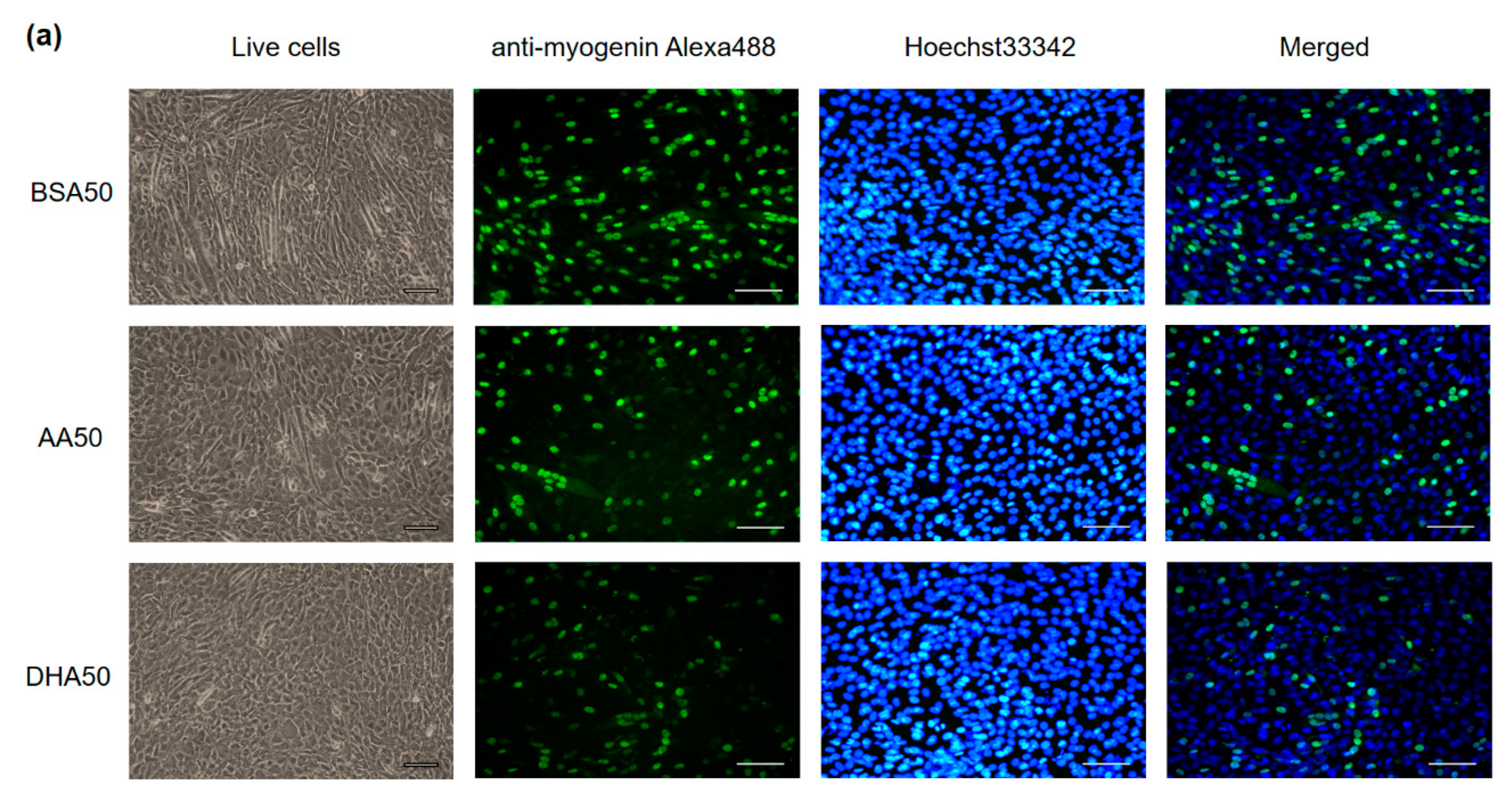 Genes 12 00192 g004a Genes 12 00192 g004a