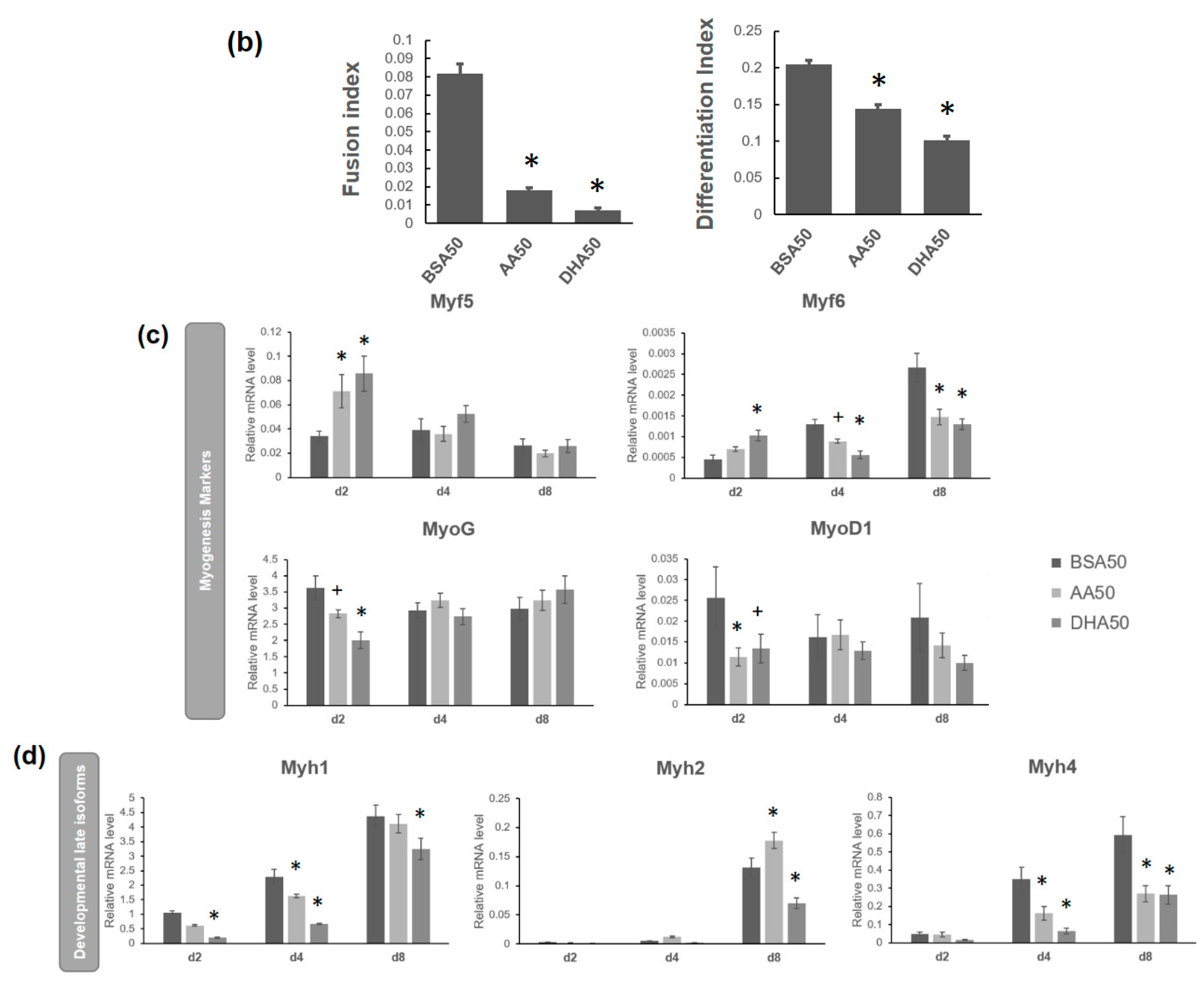 Genes 12 00192 g004b Genes 12 00192 g004b