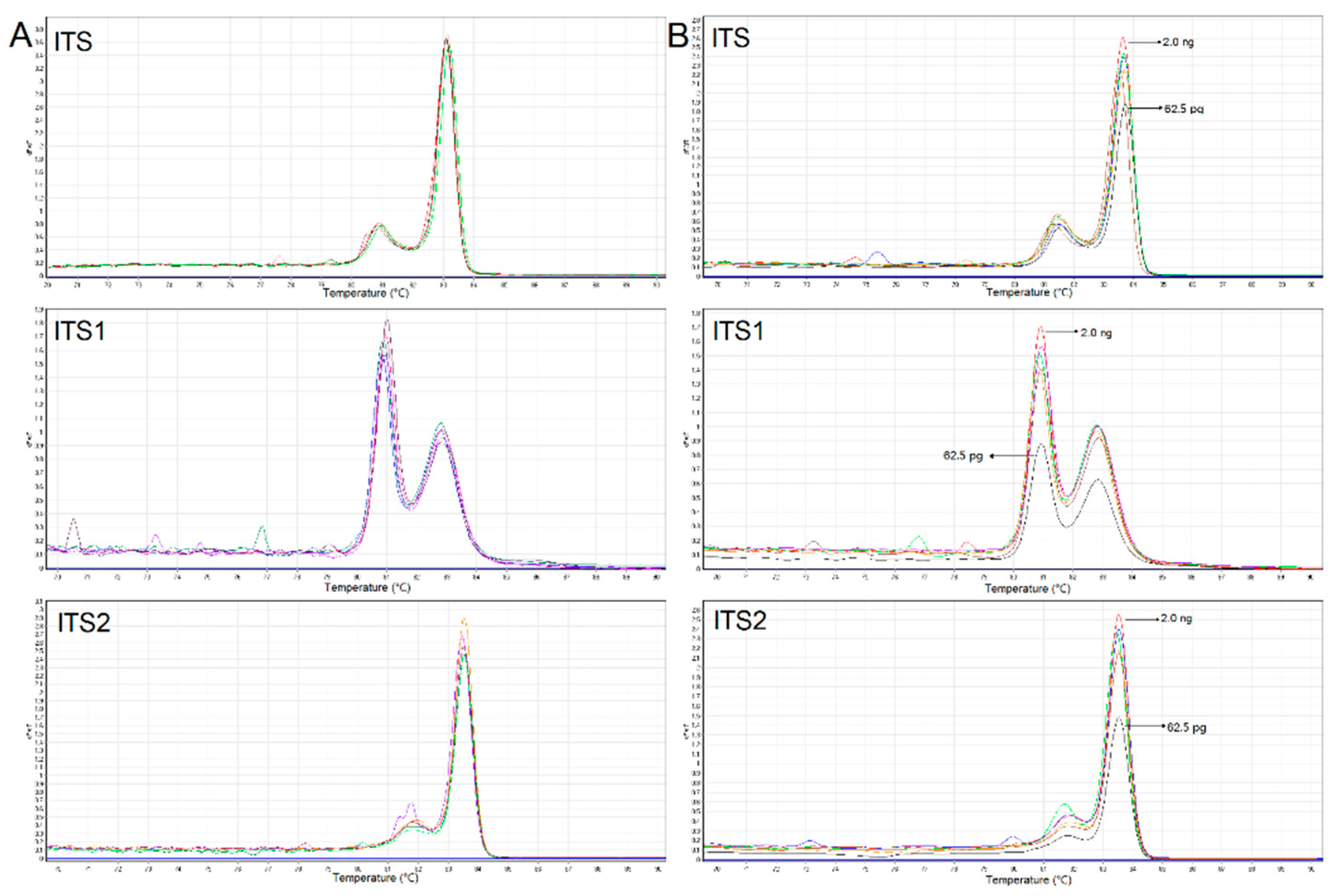 Genes 12 00199 g004 Genes 12 00199 g004