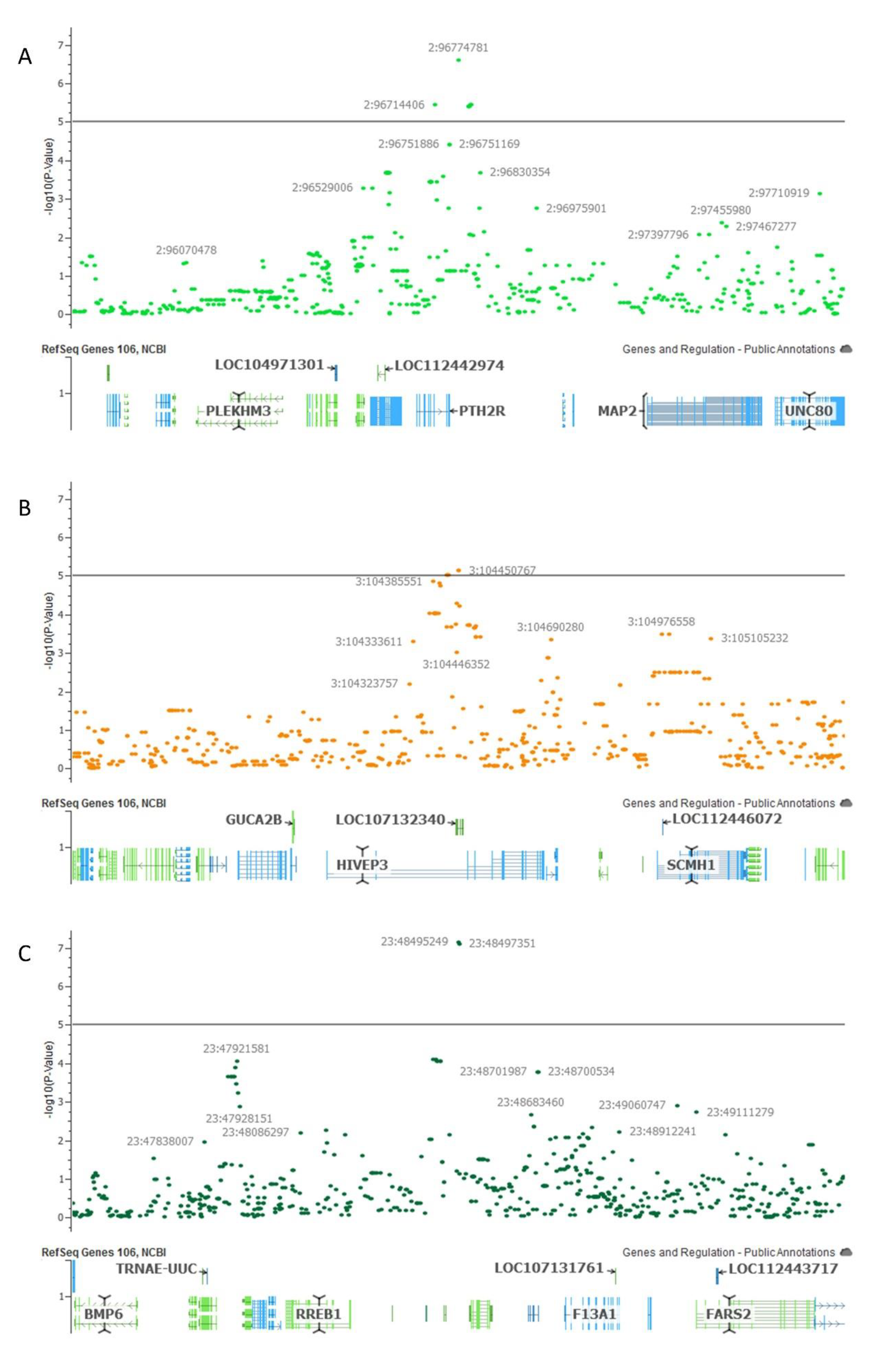 Genes 12 00217 g003 Genes 12 00217 g003
