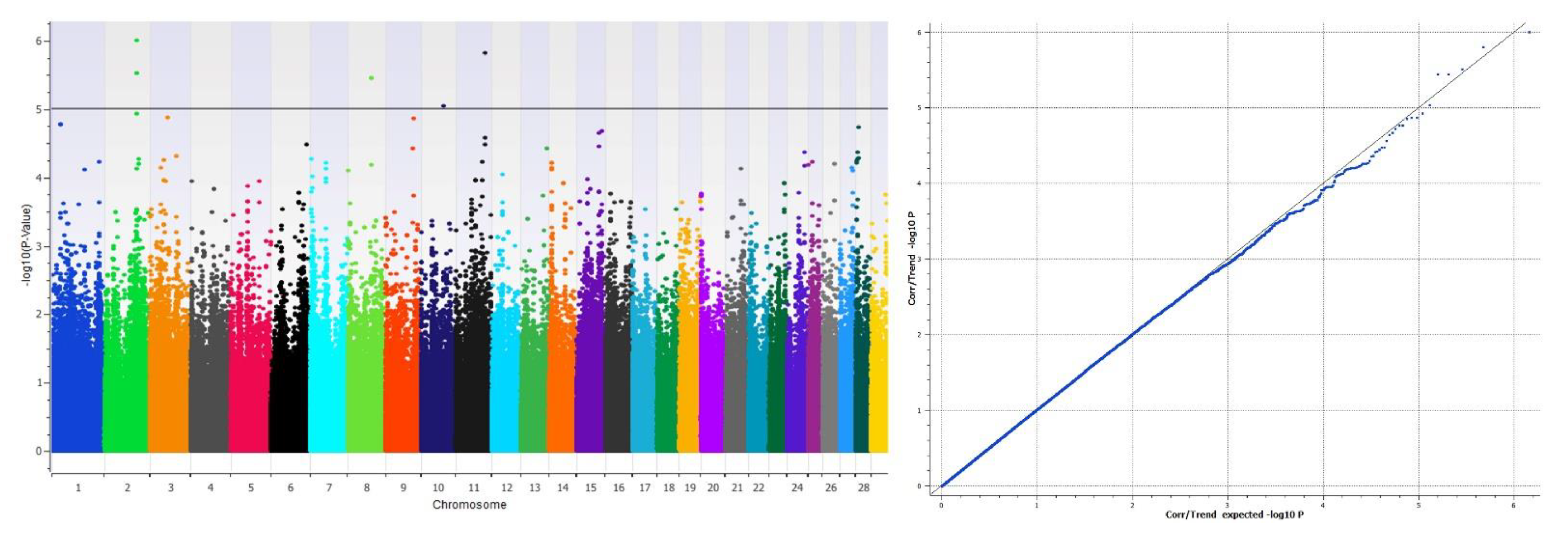 Genes 12 00217 g004 Genes 12 00217 g004