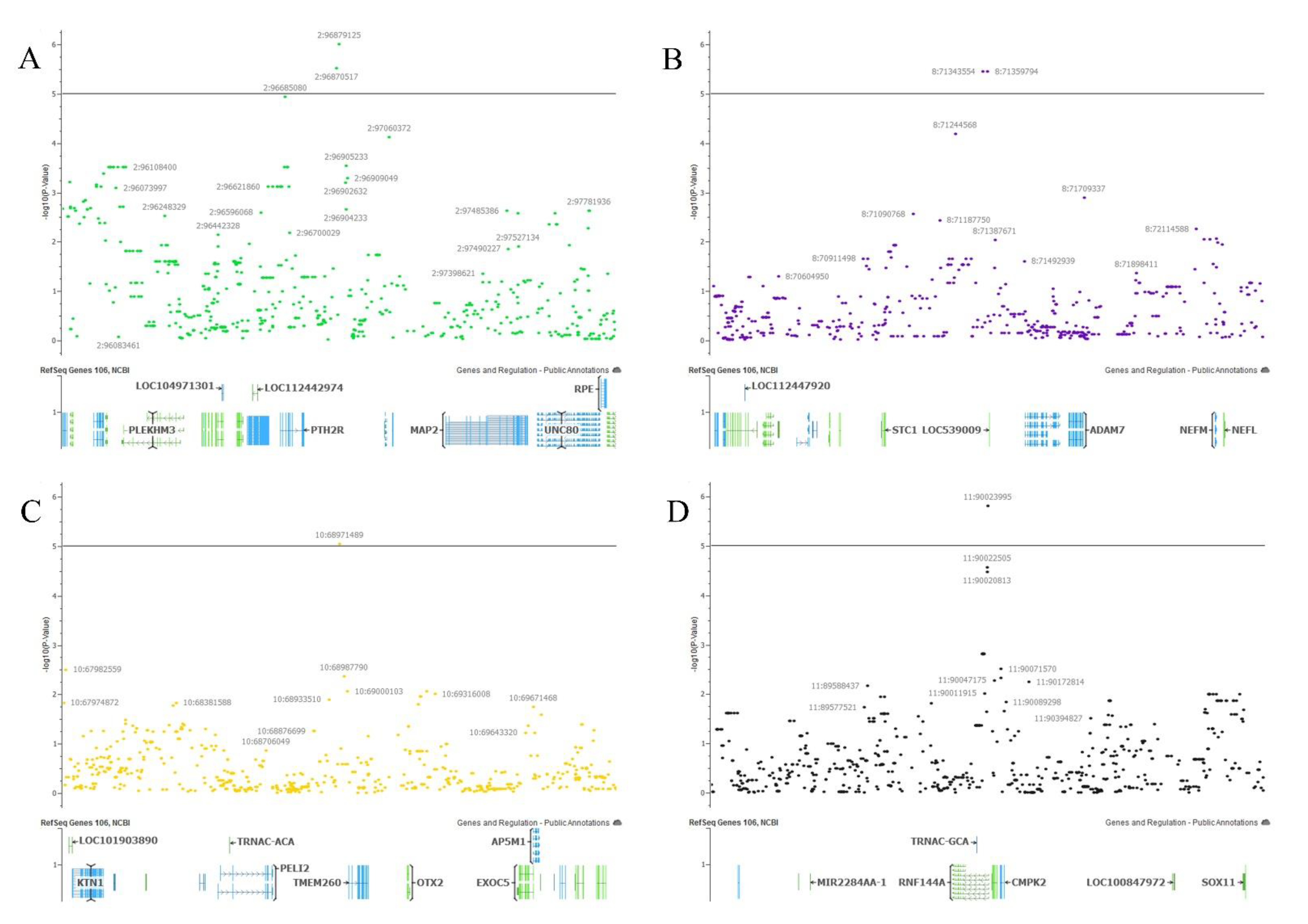 Genes 12 00217 g005 Genes 12 00217 g005