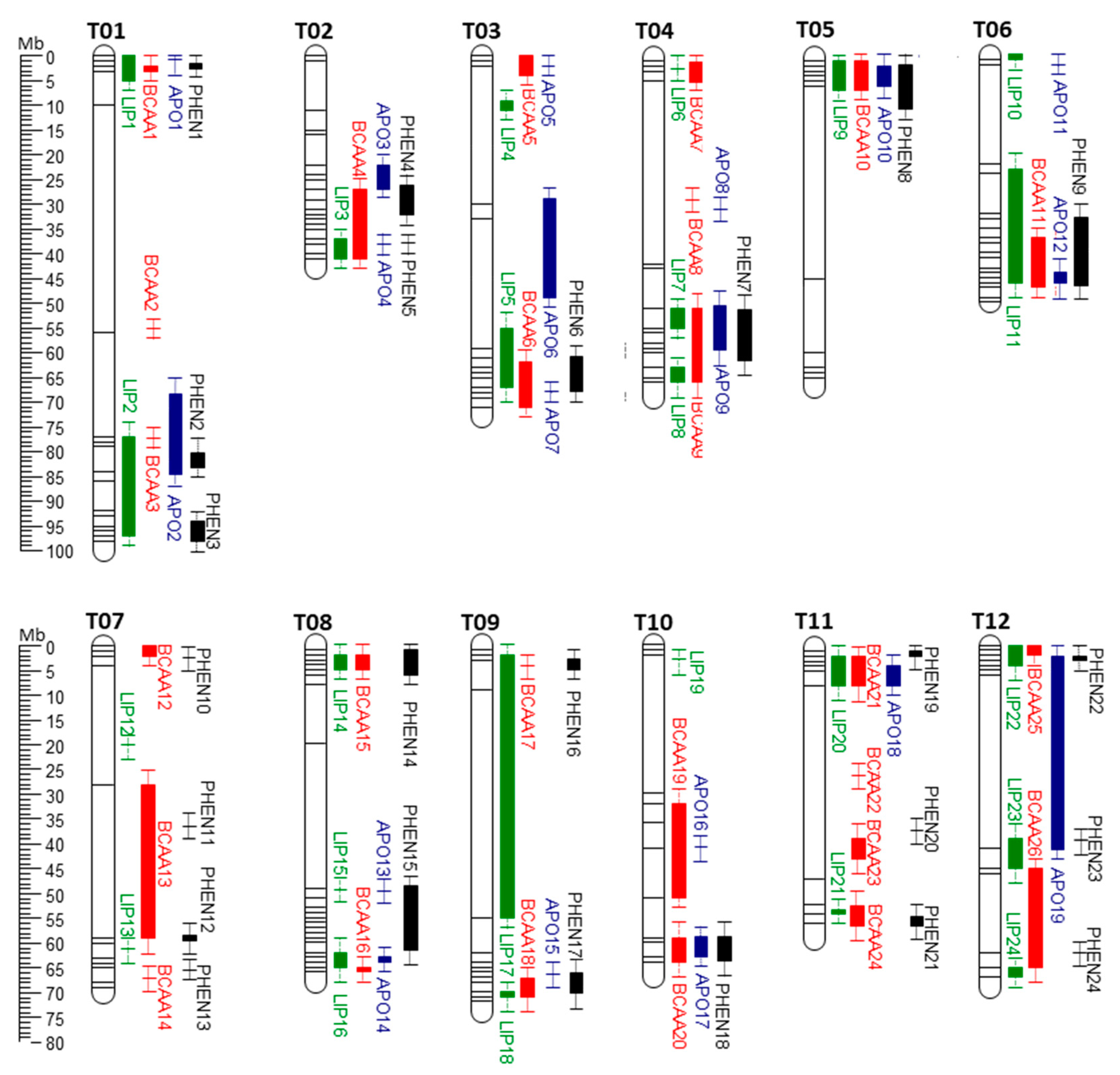 Genes 12 00226 g001 Genes 12 00226 g001