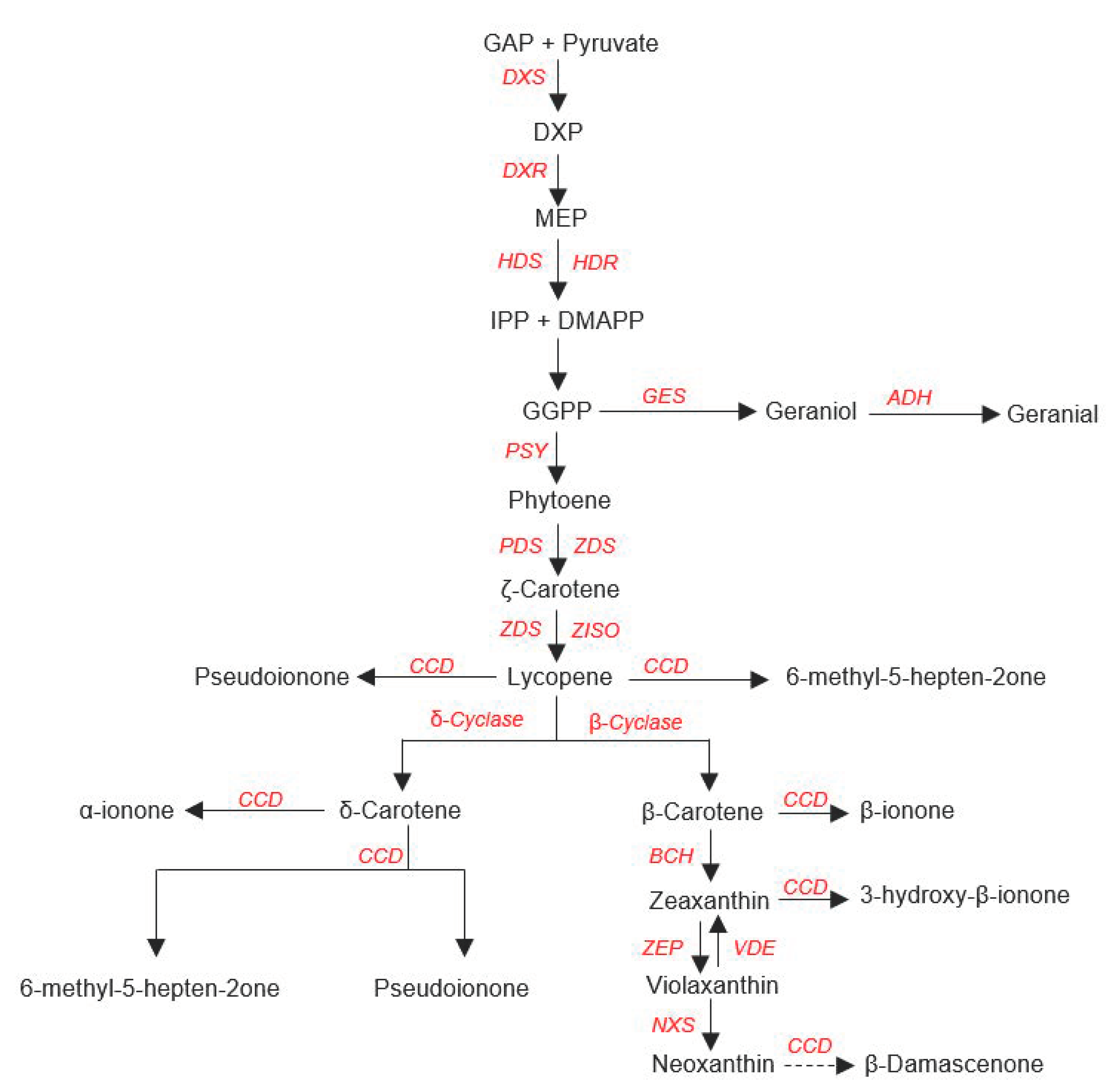 Genes 12 00226 g004 Genes 12 00226 g004
