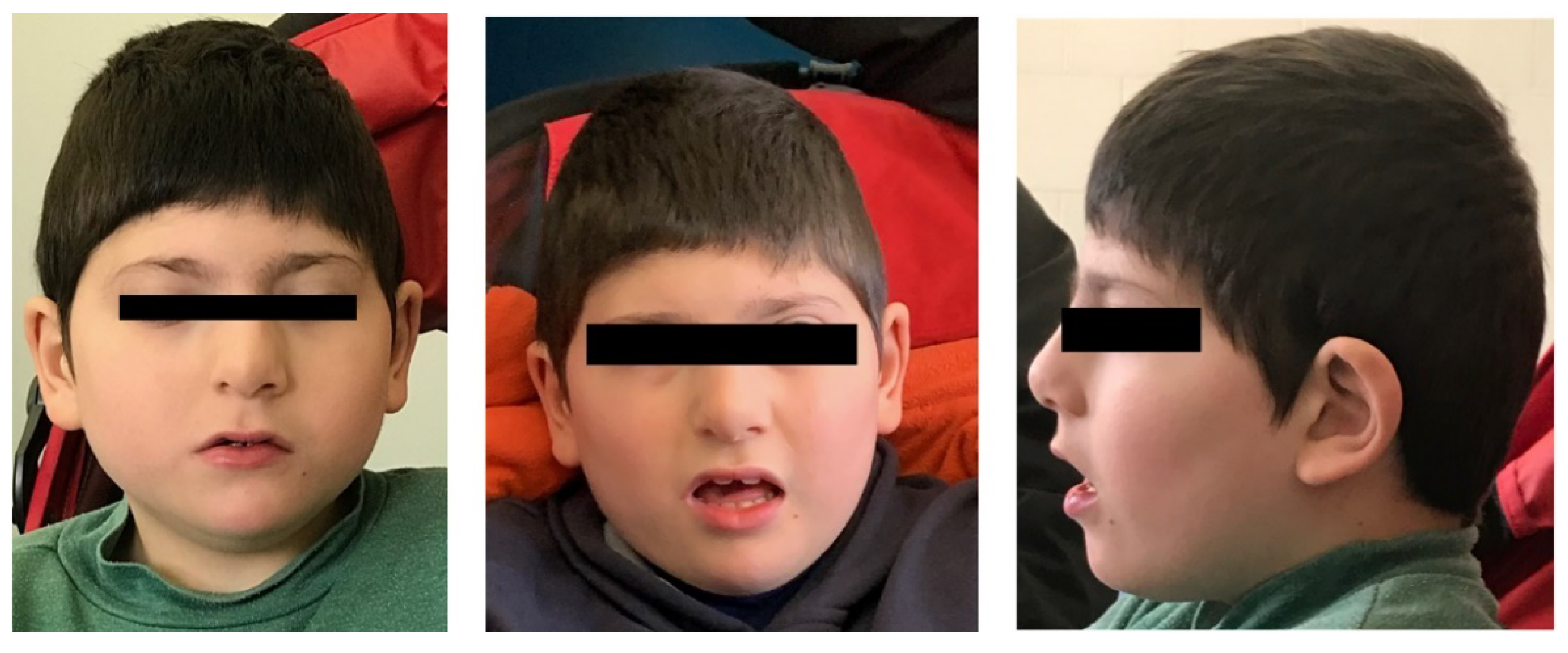 Genes 12 00229 g001 Genes 12 00229 g001