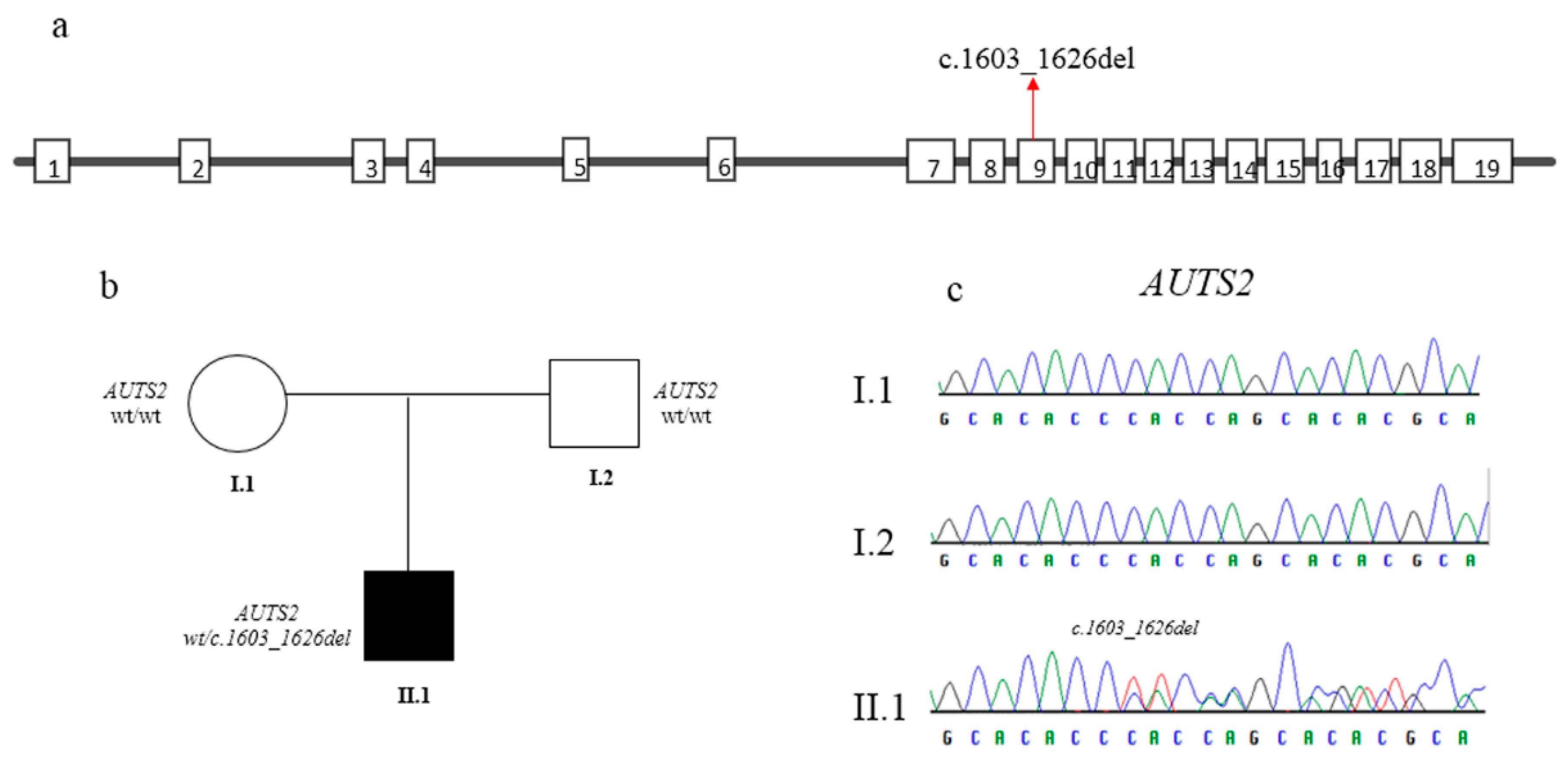 Genes 12 00229 g002 Genes 12 00229 g002