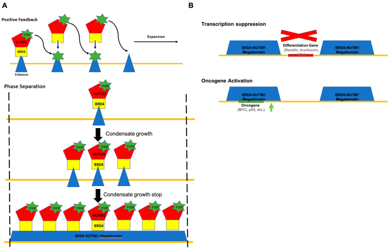 Genes 12 00235 g003 Genes 12 00235 g003