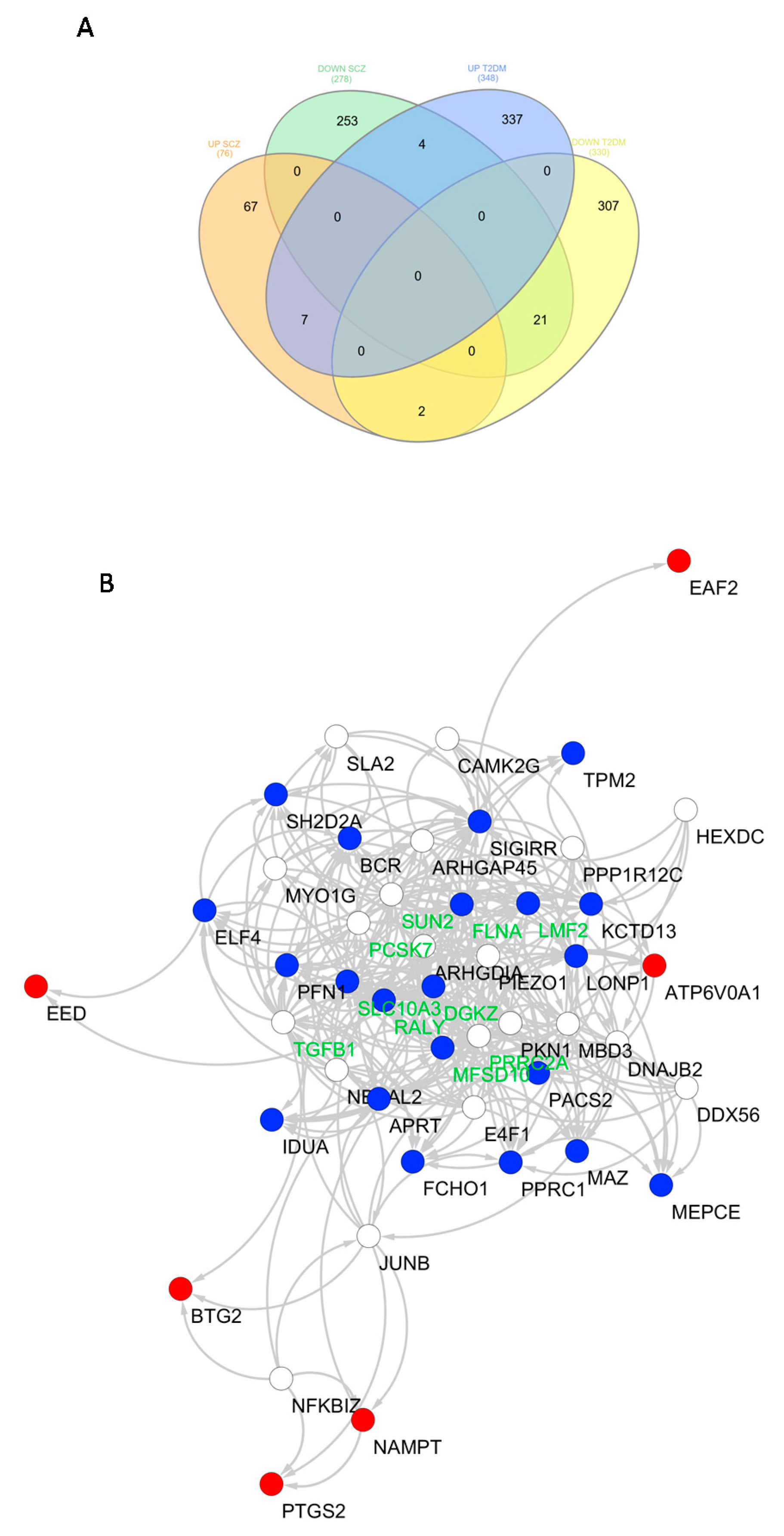 Genes 12 00237 g002