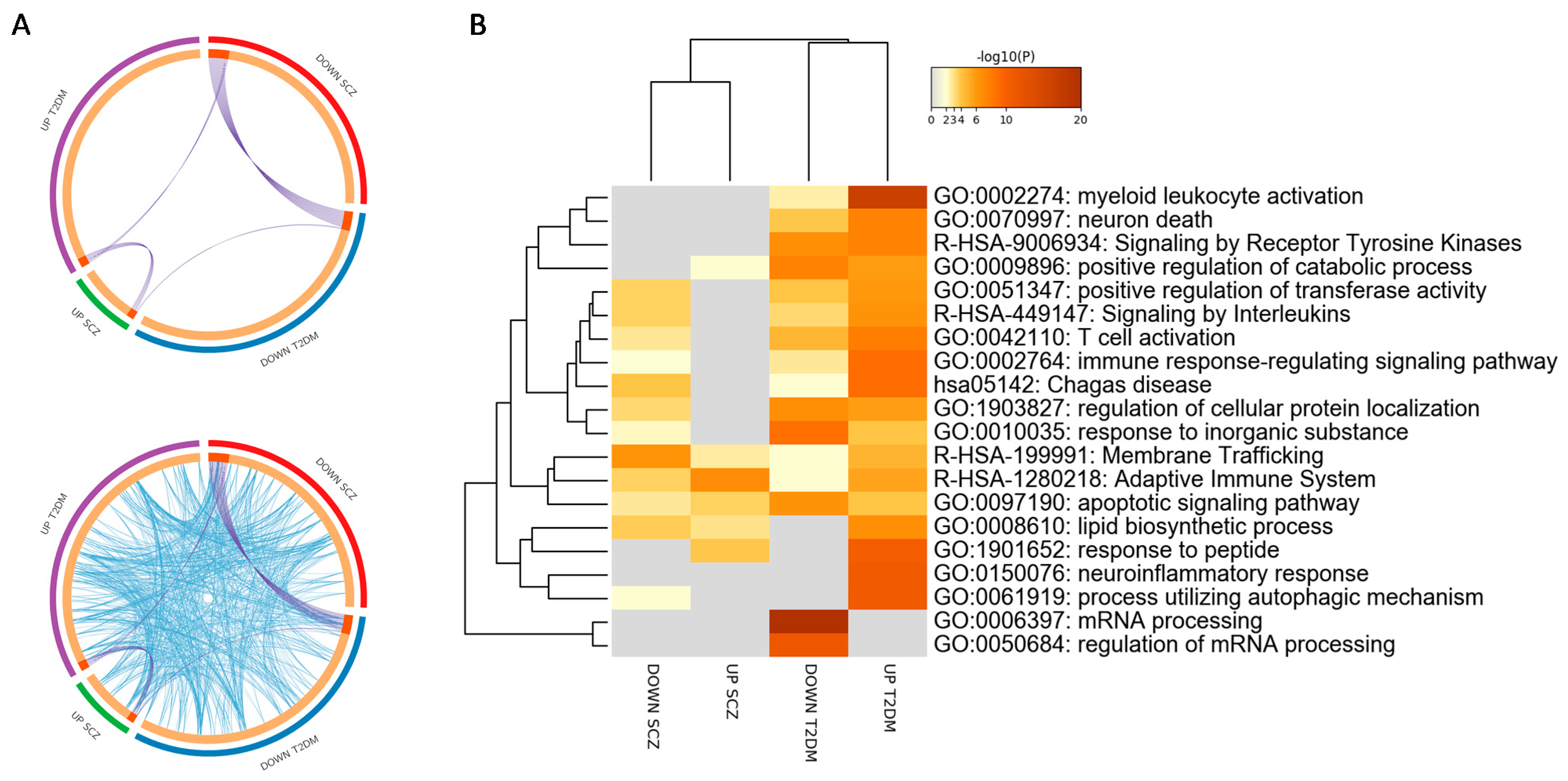 Genes 12 00237 g003
