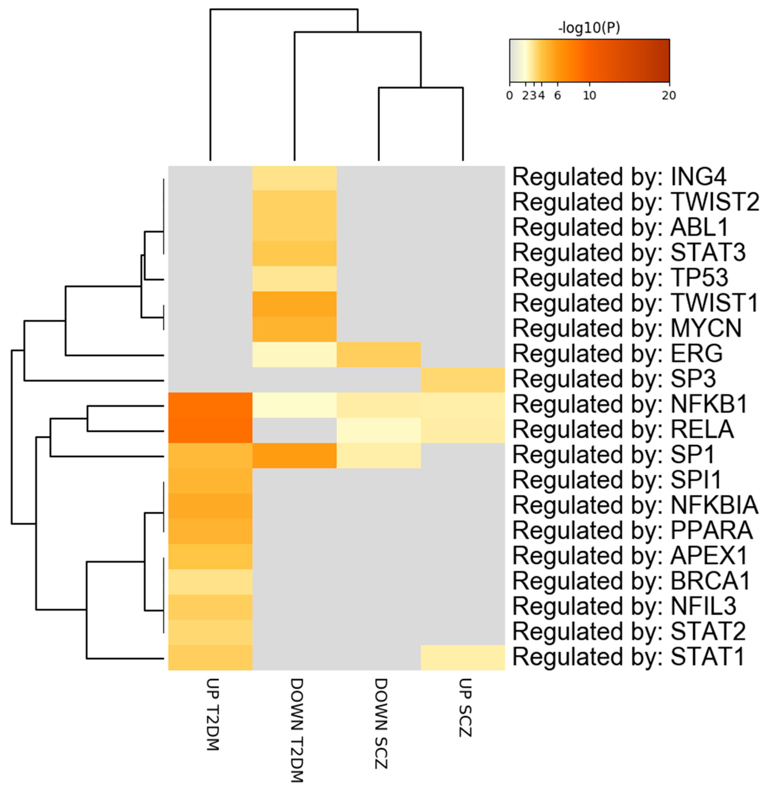Genes 12 00237 g004