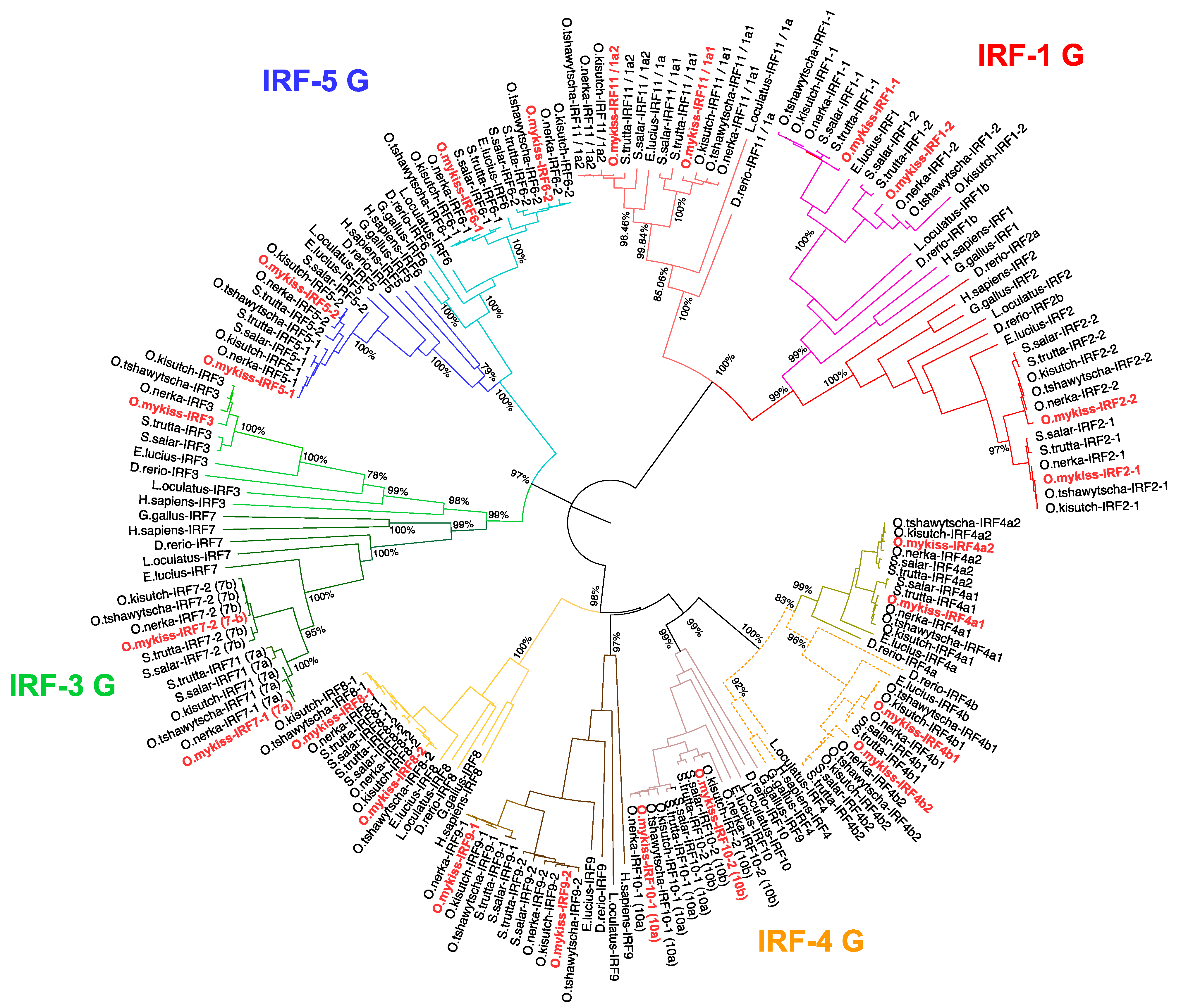 Genes 12 00238 g001 Genes 12 00238 g001