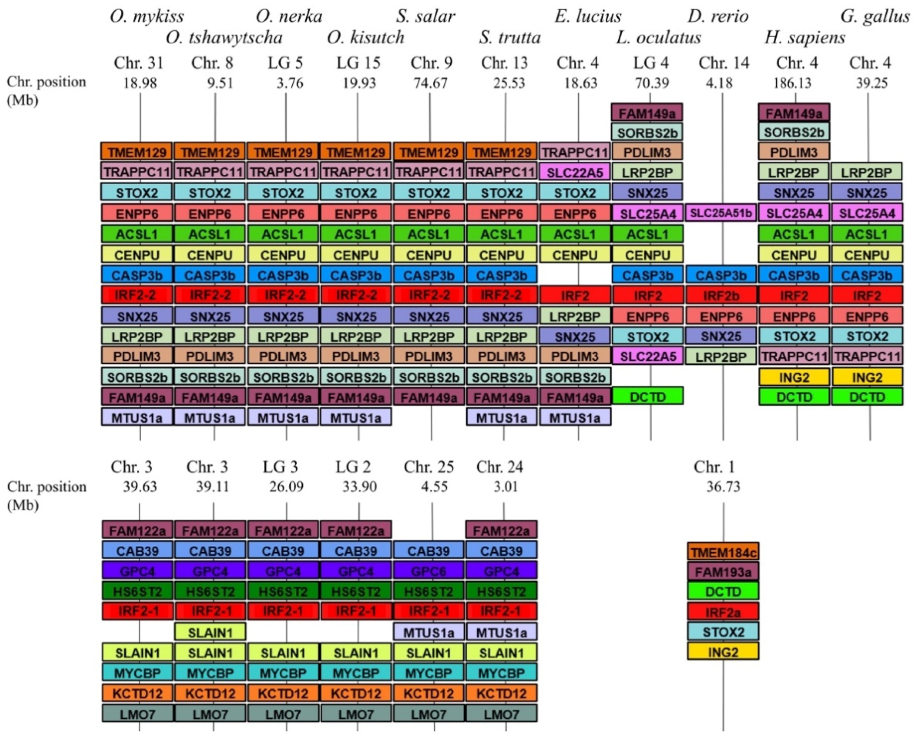 Genes 12 00238 g002 Genes 12 00238 g002