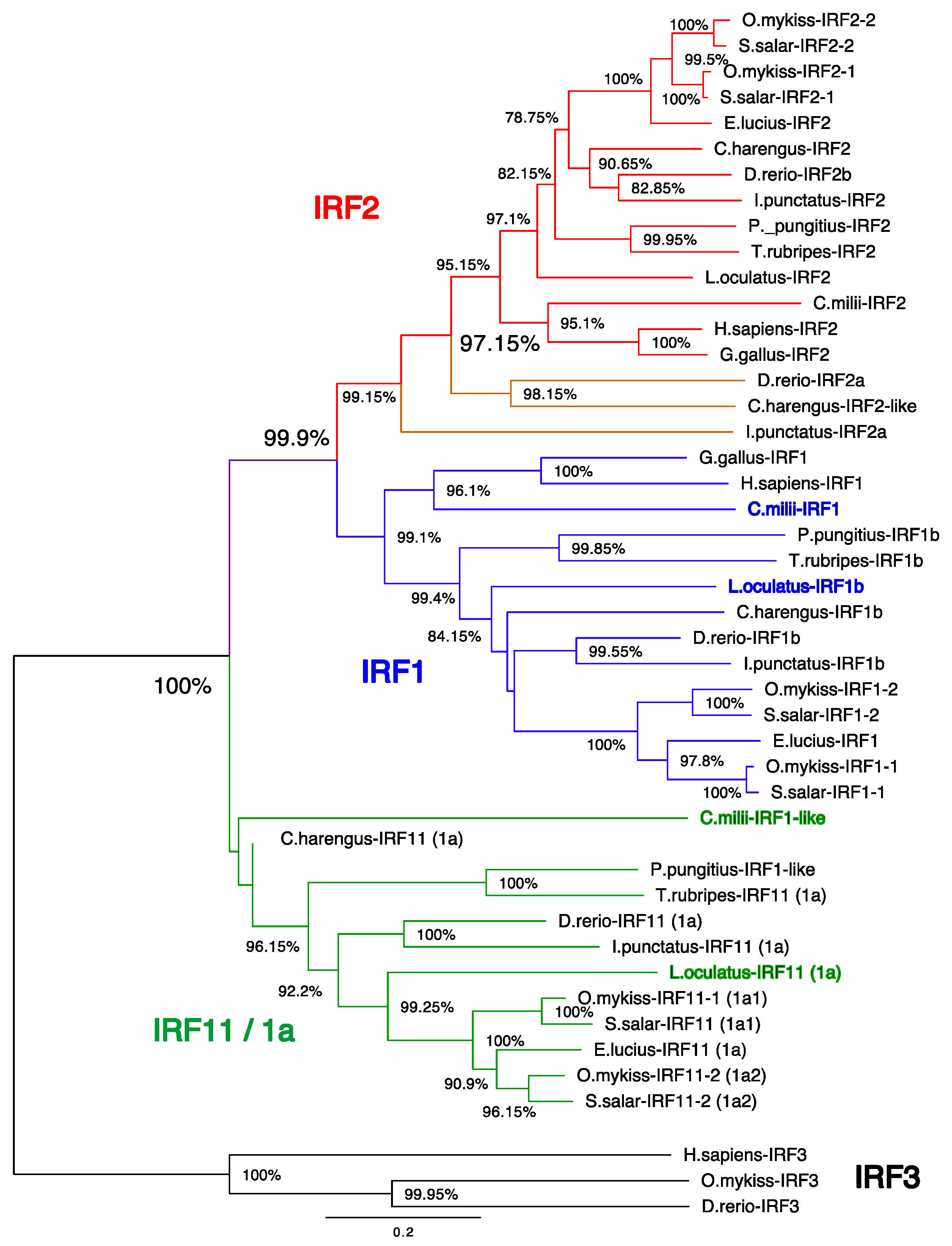 Genes 12 00238 g003 Genes 12 00238 g003