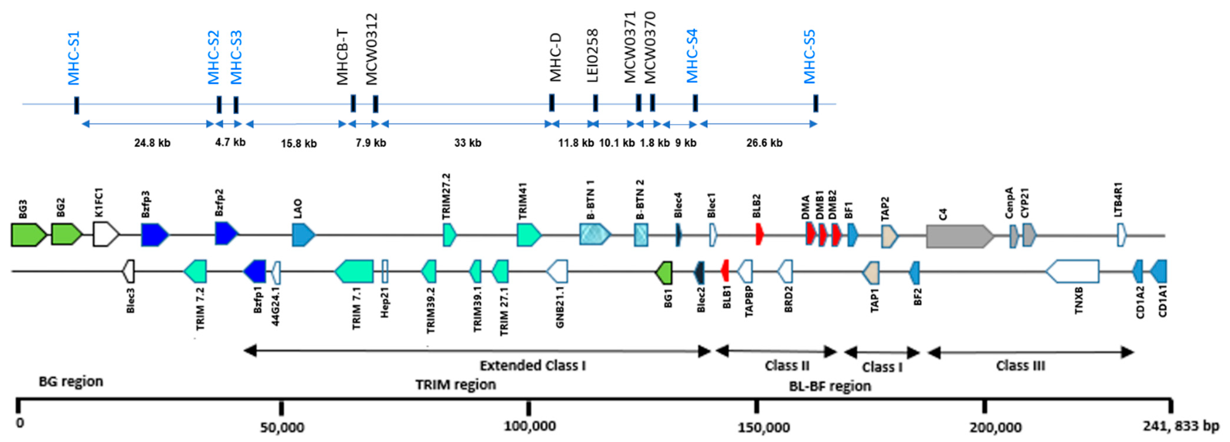 Genes 12 00240 g001 Genes 12 00240 g001