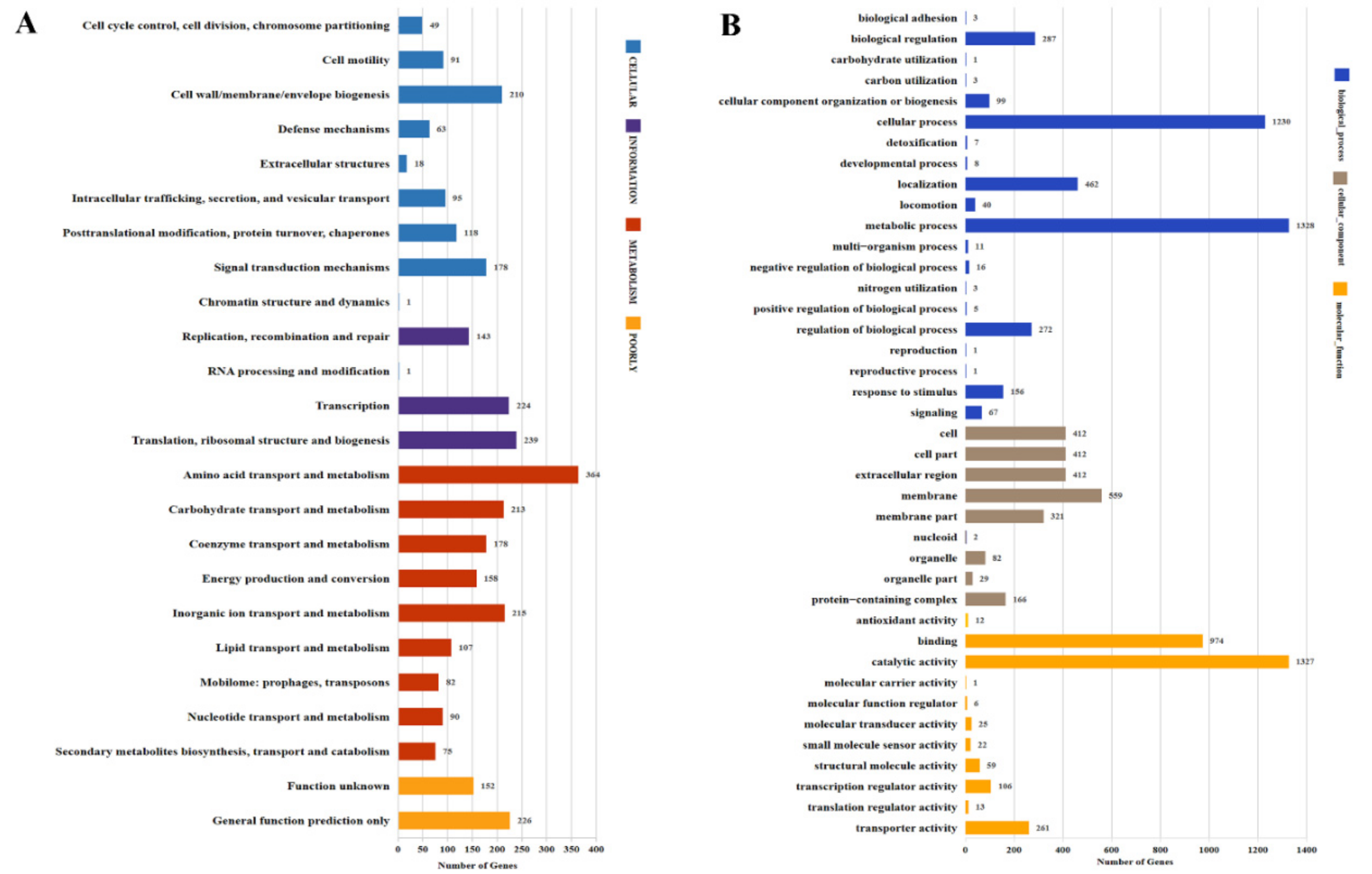 Genes 12 00246 g002a