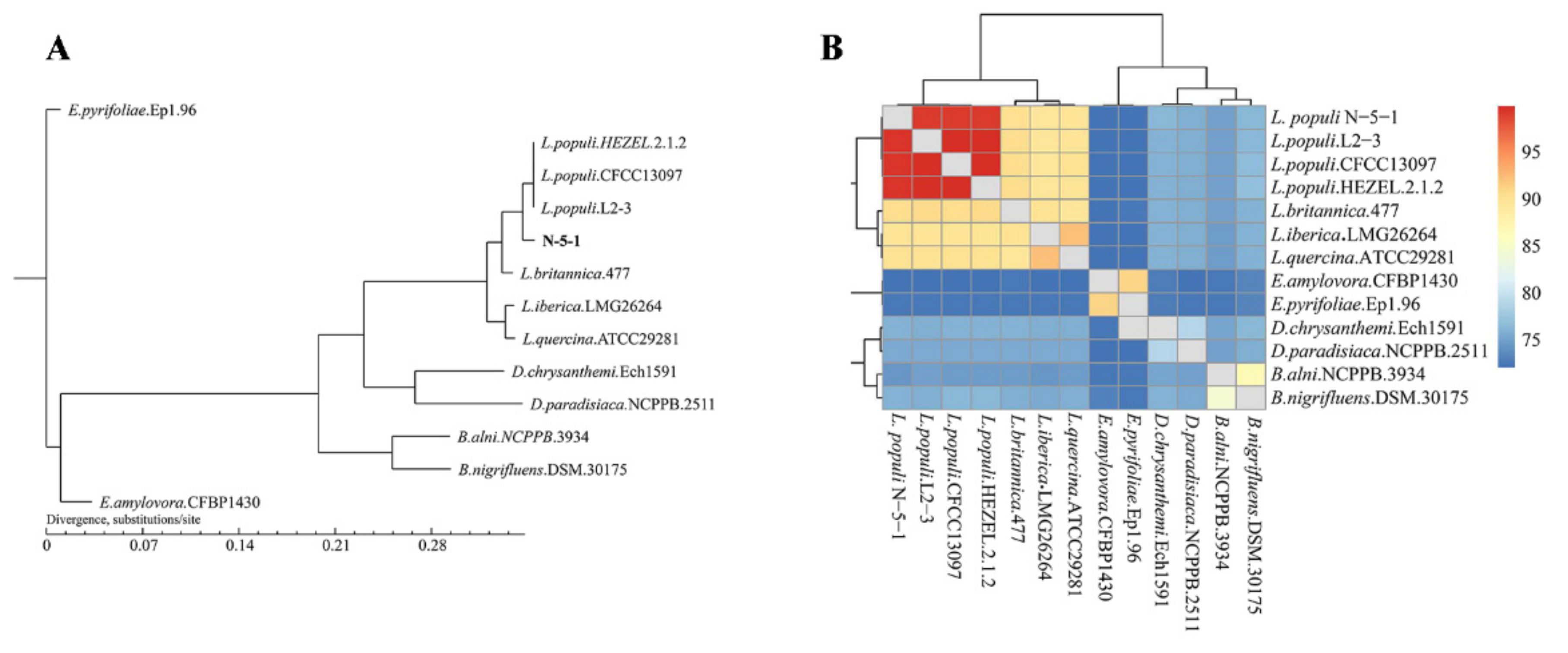Genes 12 00246 g004