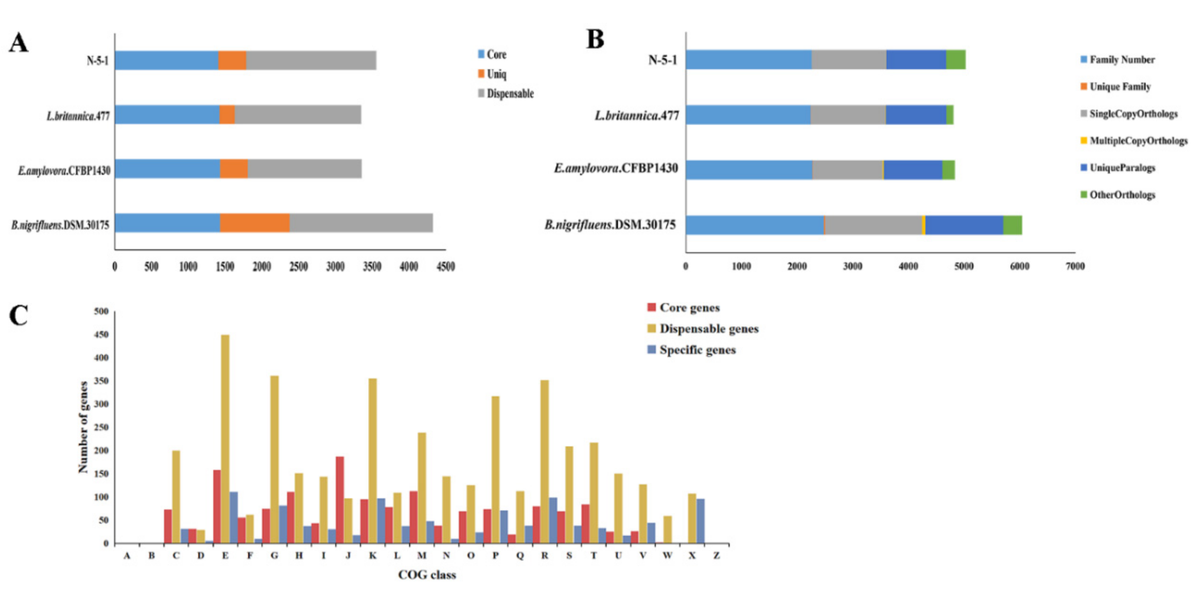 Genes 12 00246 g007