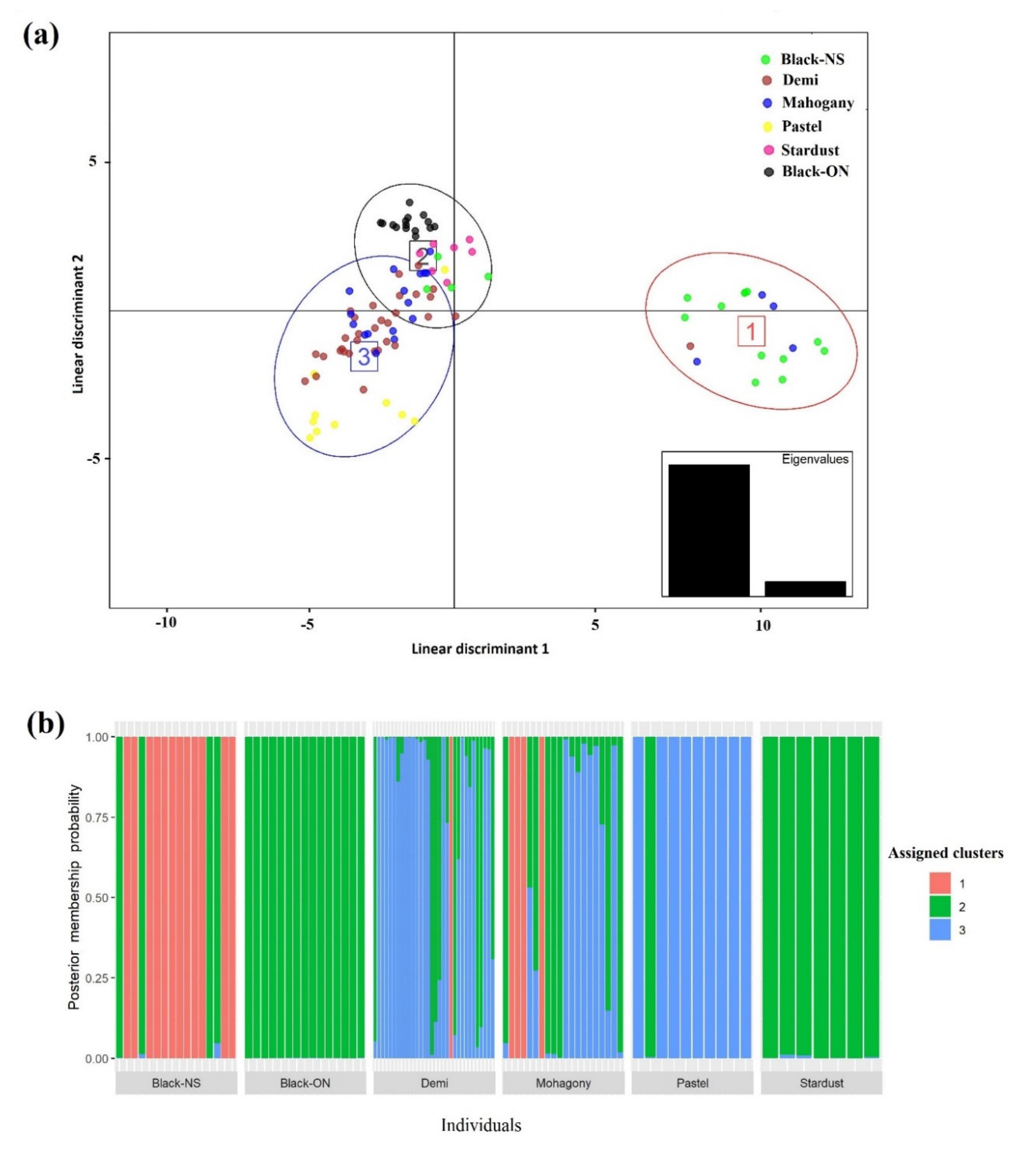Genes 12 00258 g001 Genes 12 00258 g001