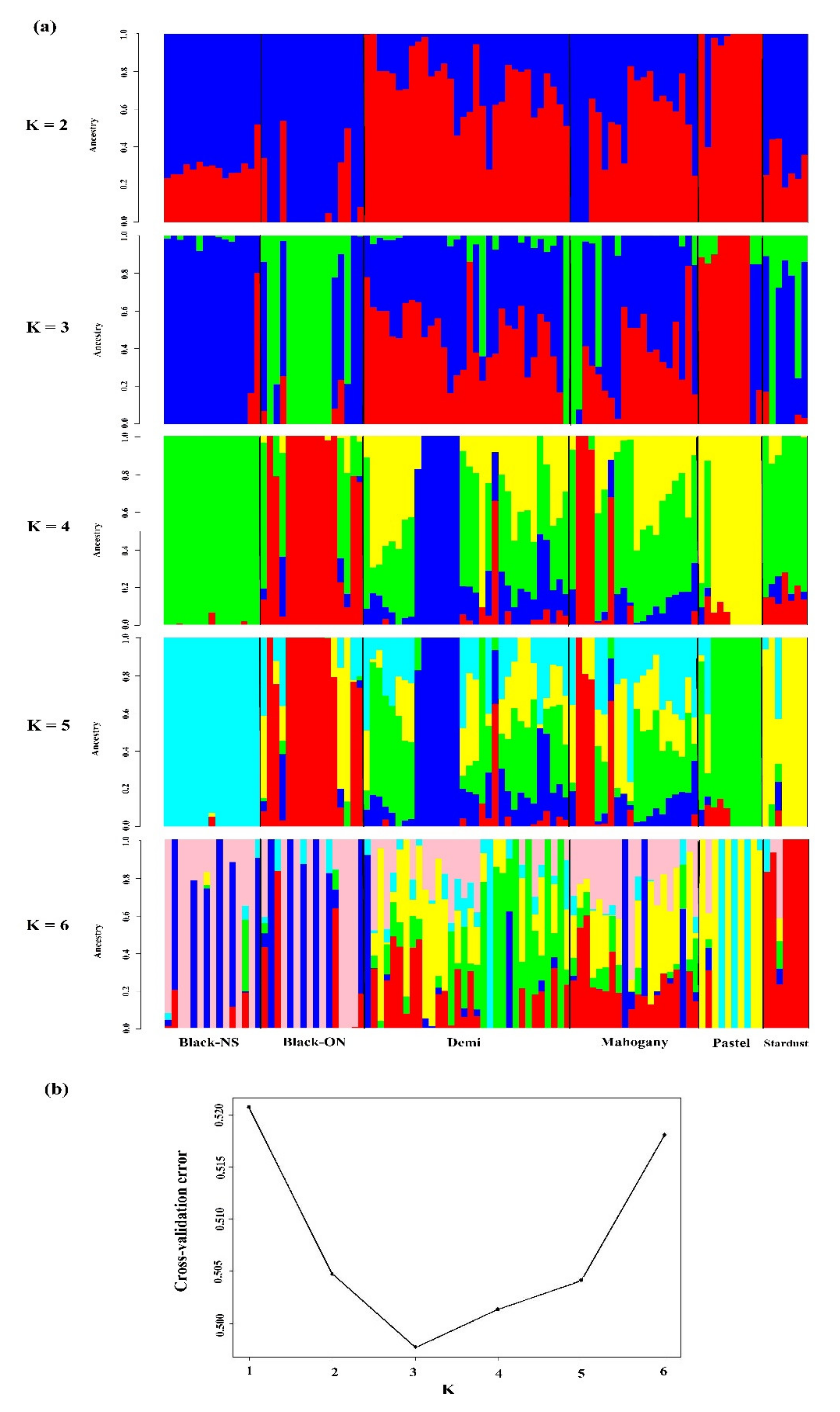 Genes 12 00258 g002 Genes 12 00258 g002
