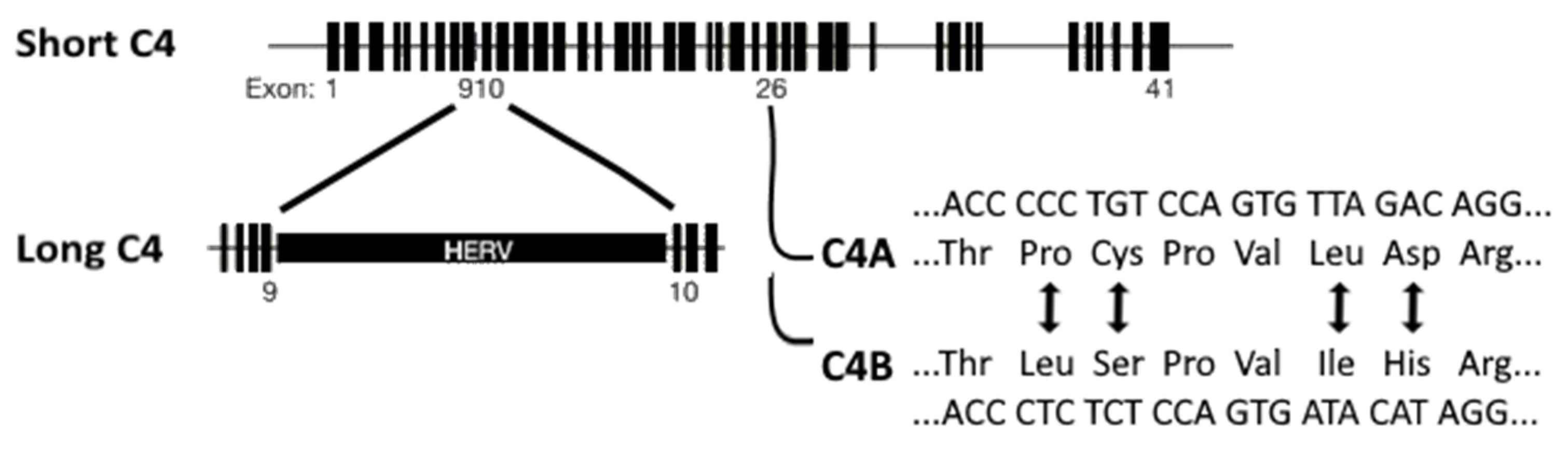 Genes 12 00259 g002 Genes 12 00259 g002