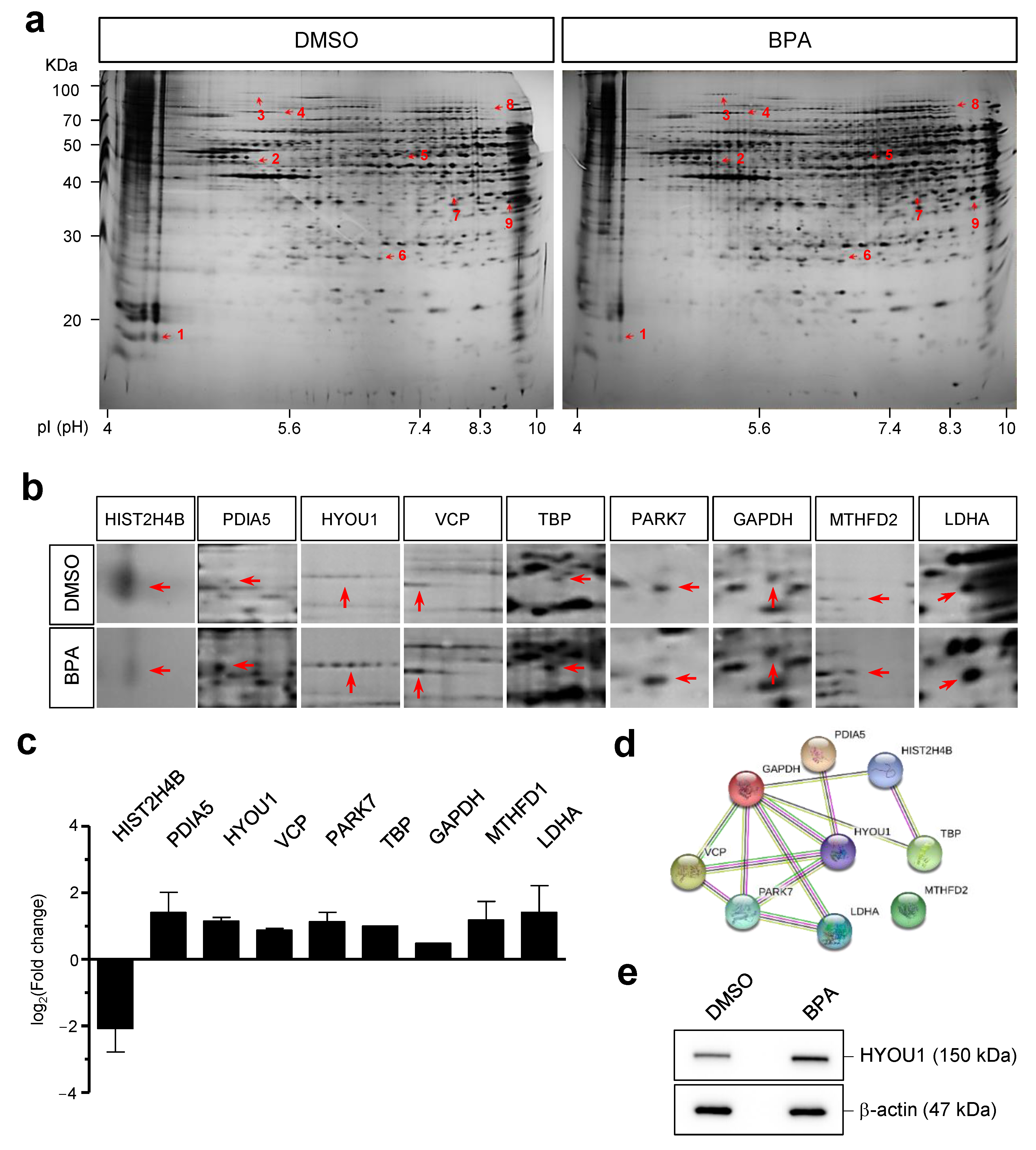 Genes 12 00264 g005