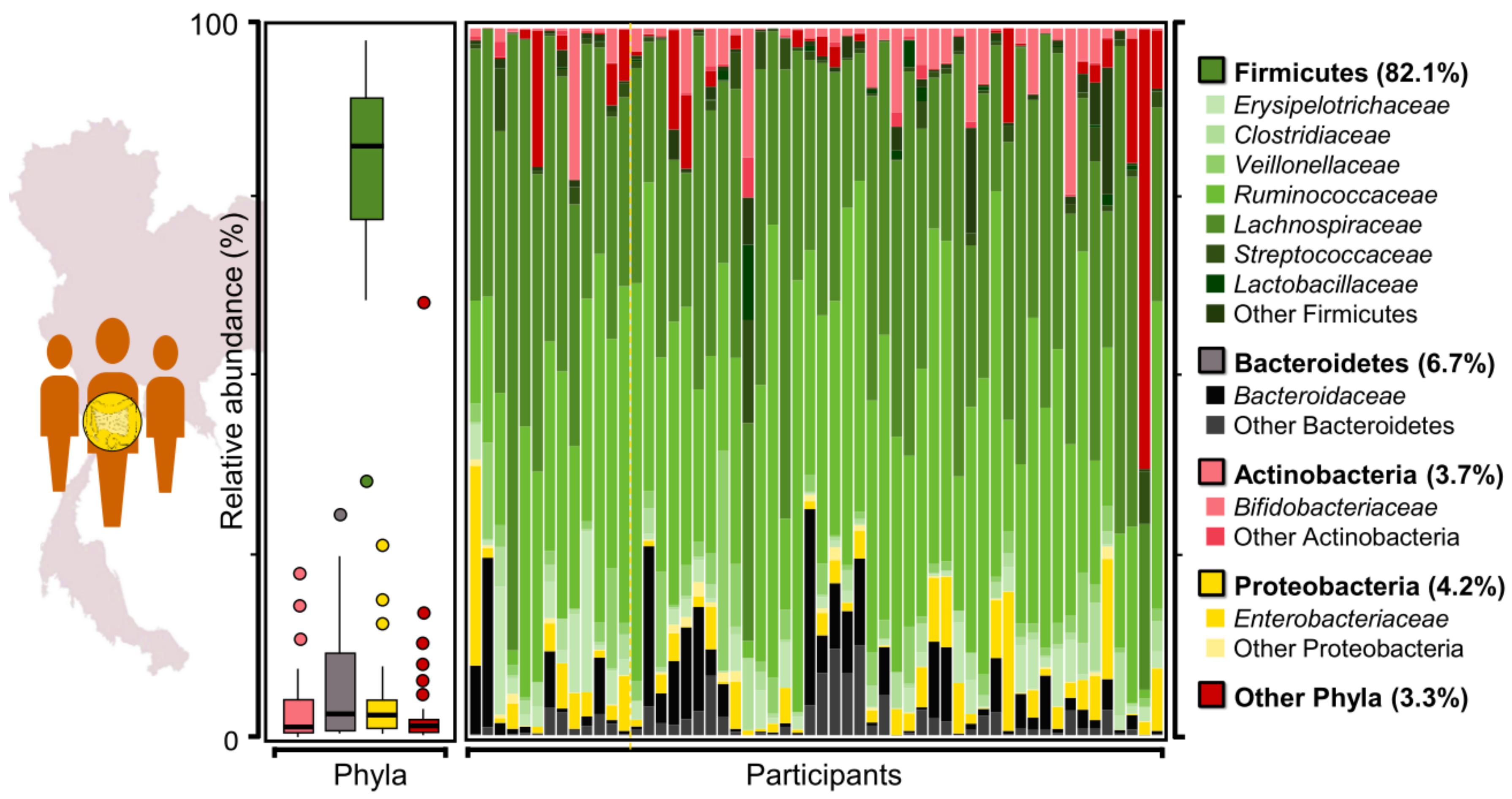 Genes 12 00331 g001