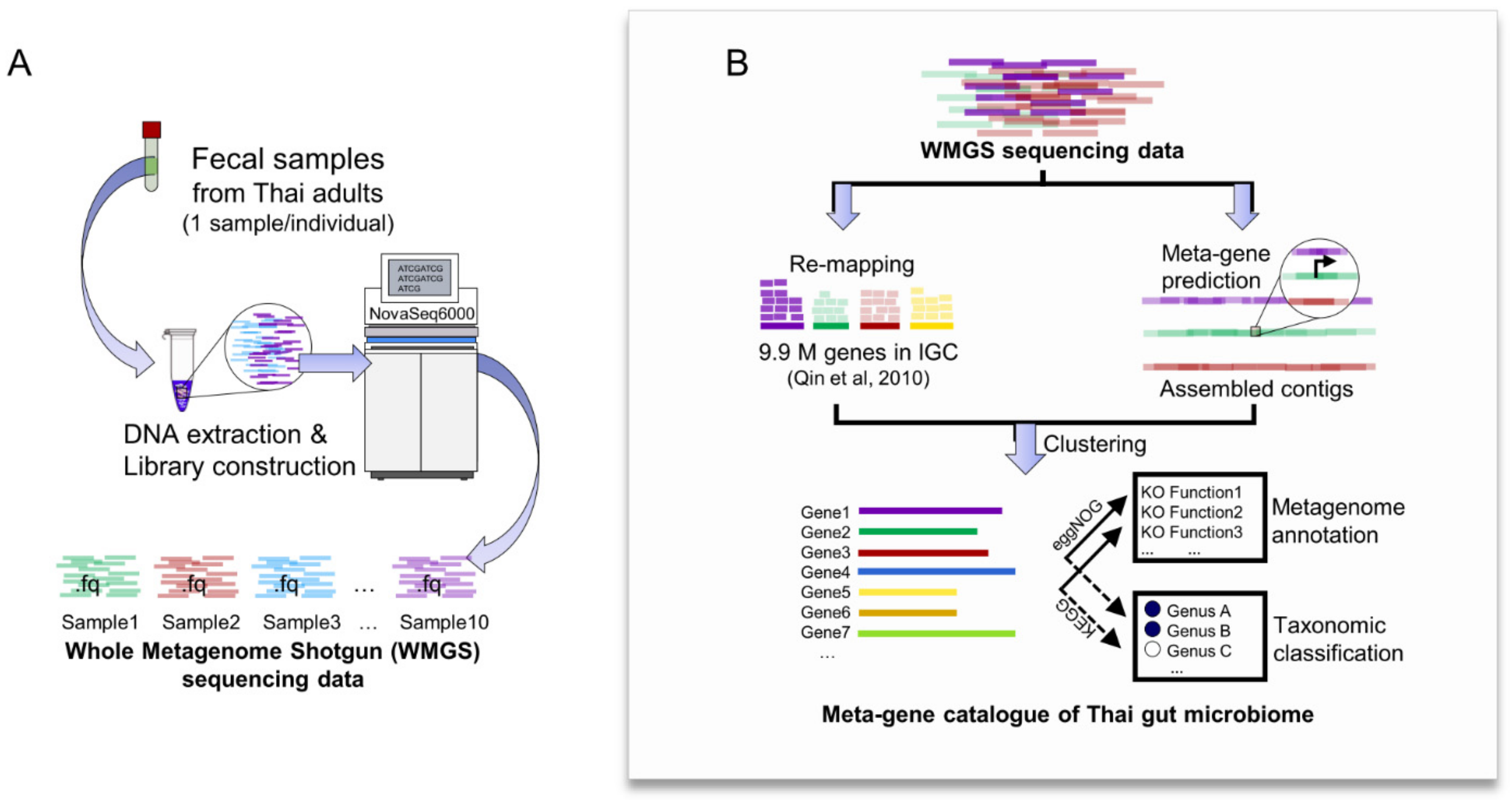 Genes 12 00331 g002