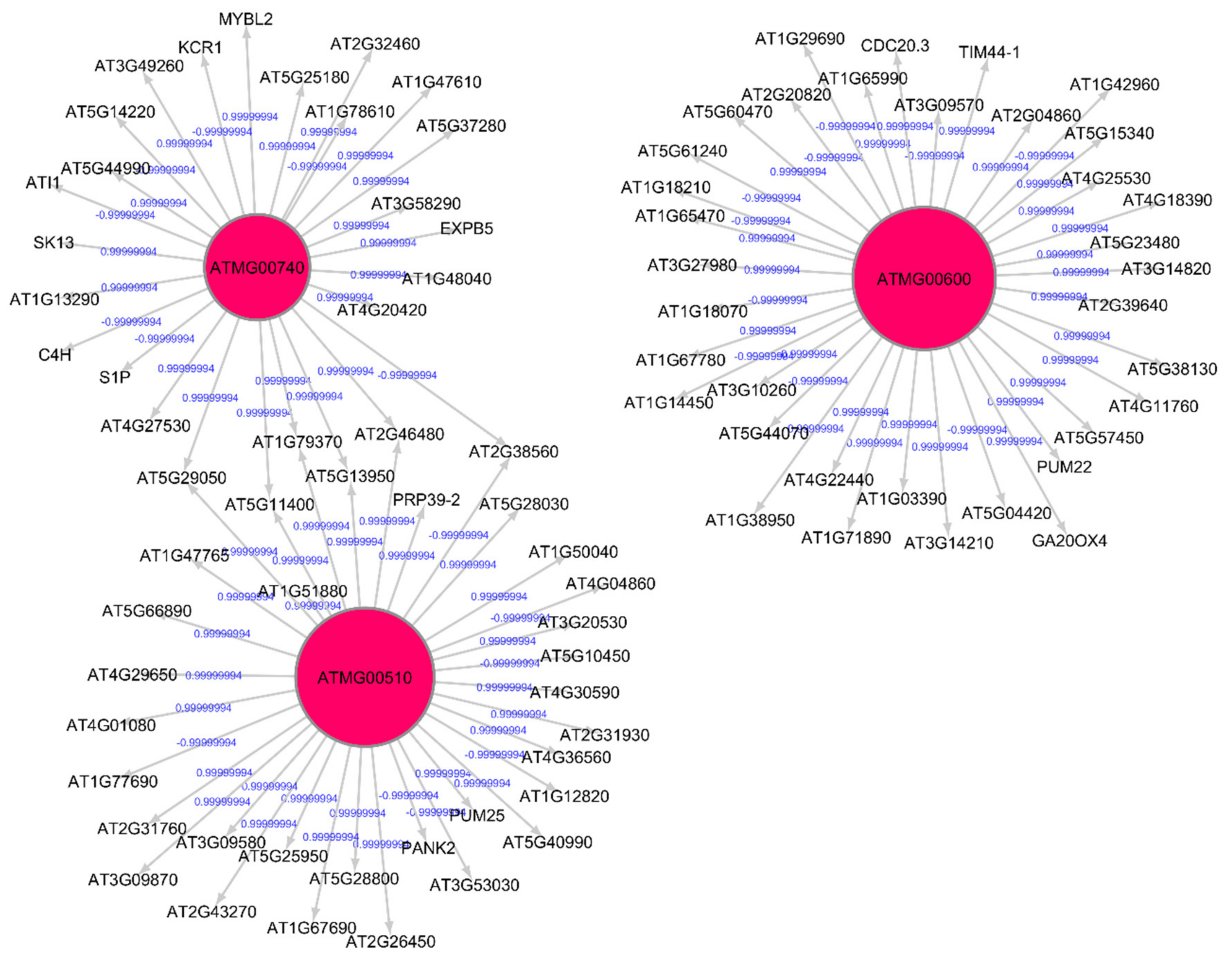 Genes 12 00337 g003 Genes 12 00337 g003