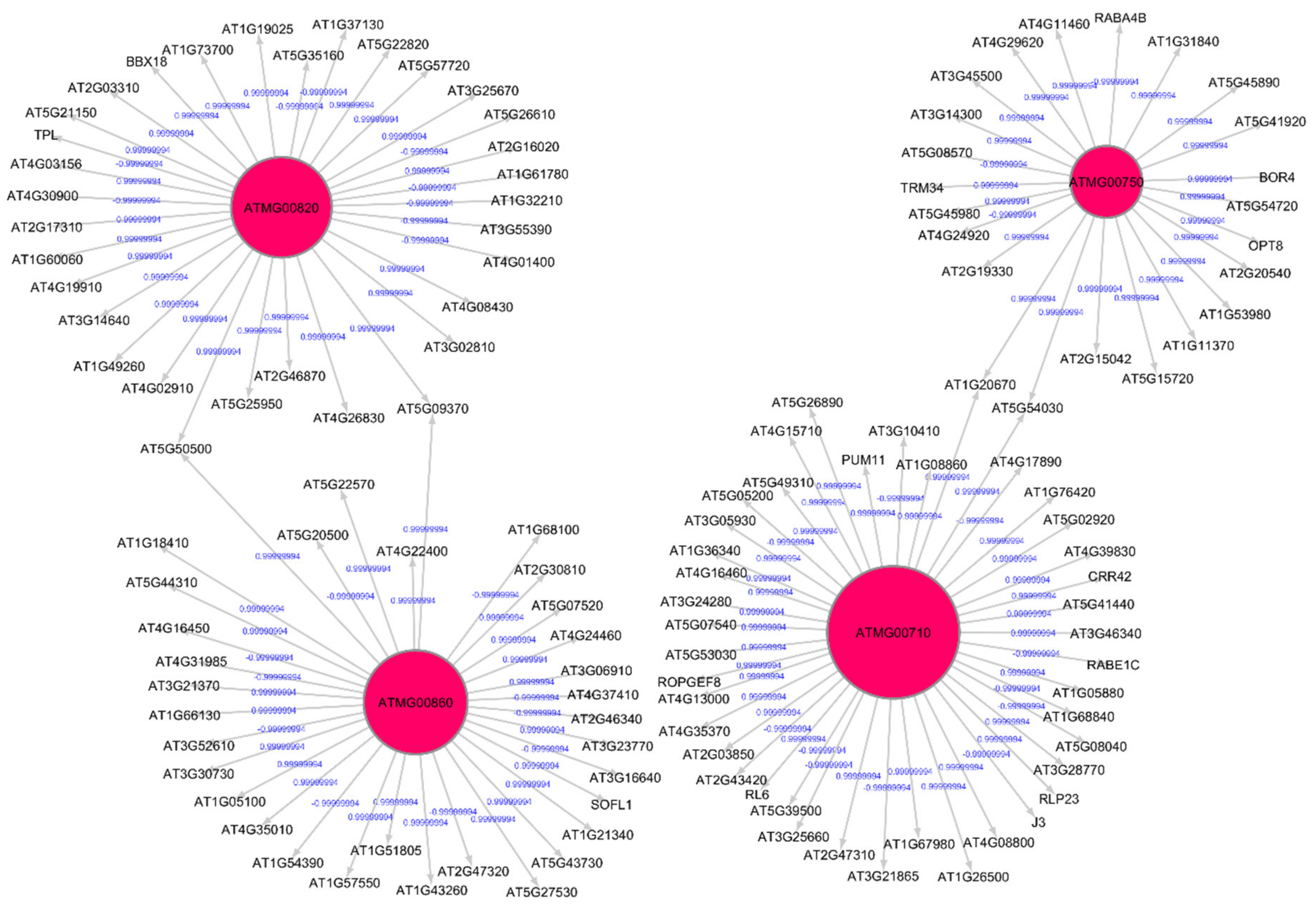 Genes 12 00337 g004 Genes 12 00337 g004