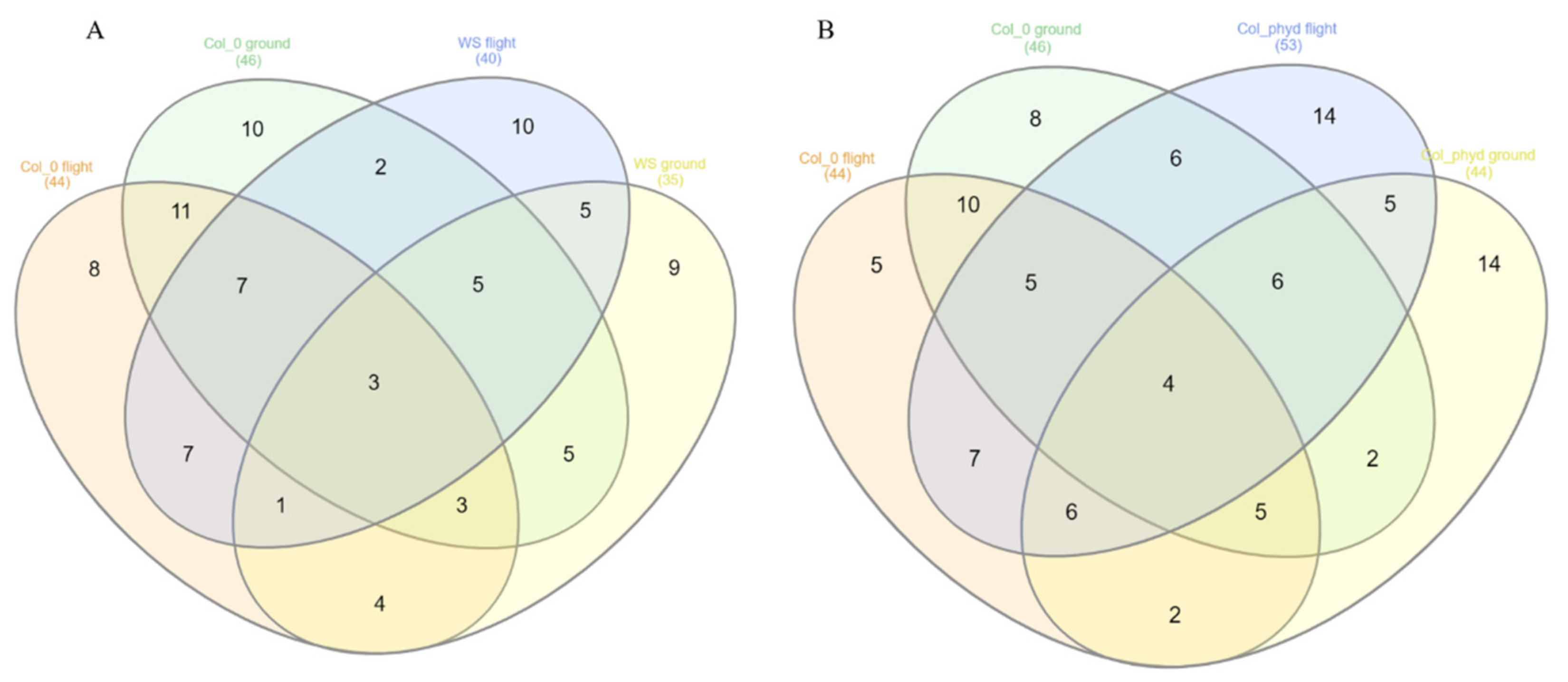 Genes 12 00337 g005 Genes 12 00337 g005