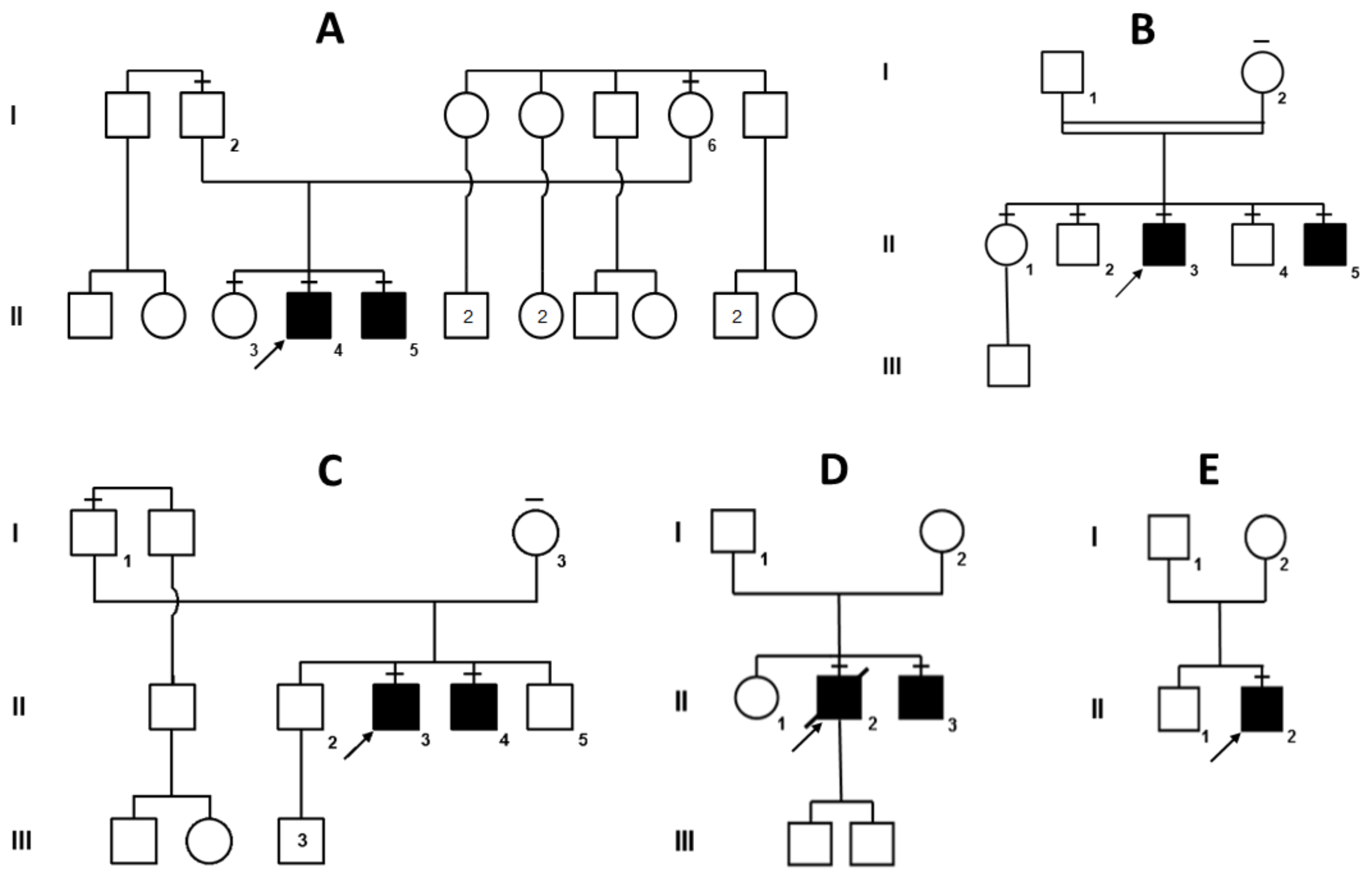 Genes 12 00344 g001 Genes 12 00344 g001