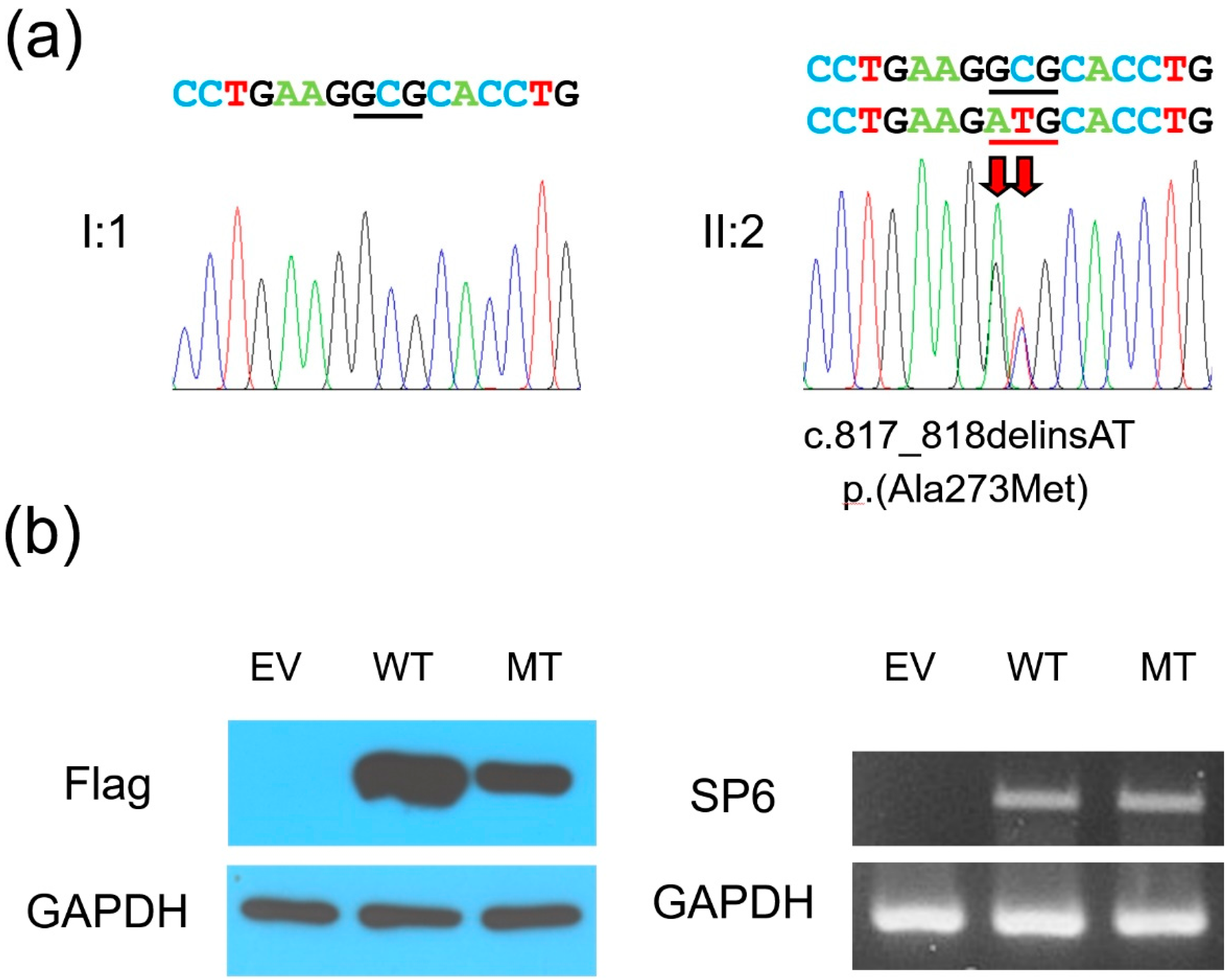 Genes 12 00346 g003