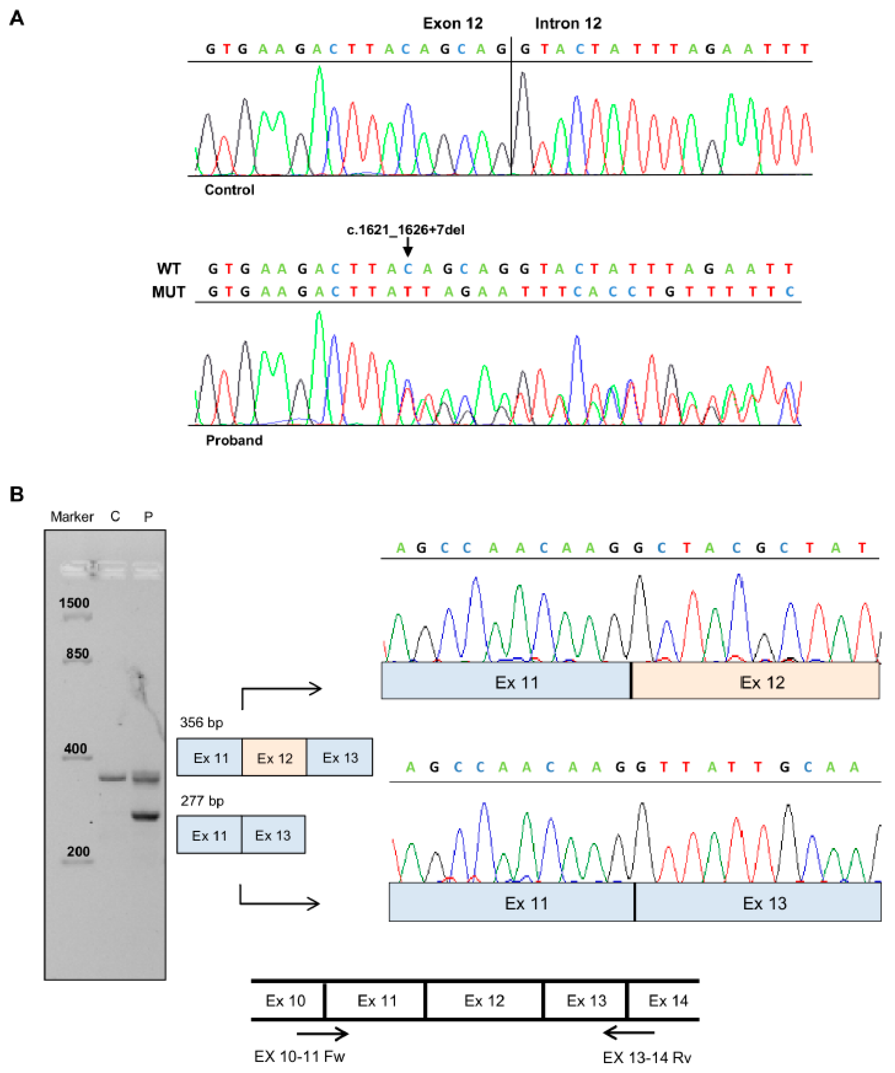 Genes 12 00353 g002 Genes 12 00353 g002
